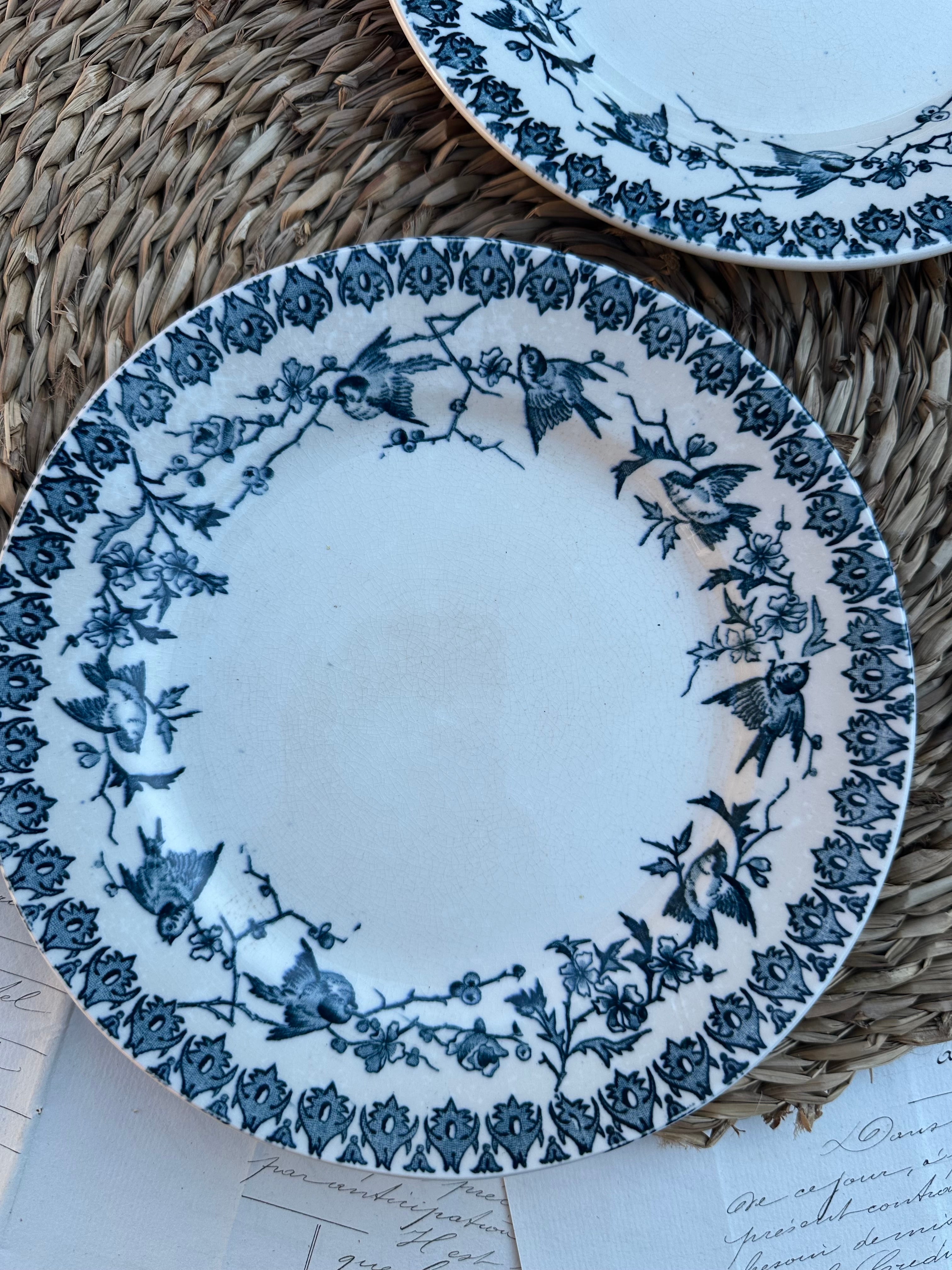 B. Duo d'assiettes à dessert Choisy le Roi modèle Lyonnais