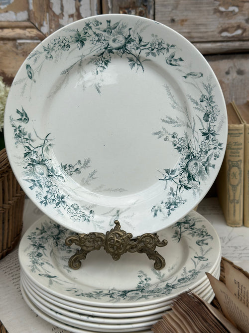 Assiette plate Creil et Montereau modèle Linotte (plusieurs disponibles)