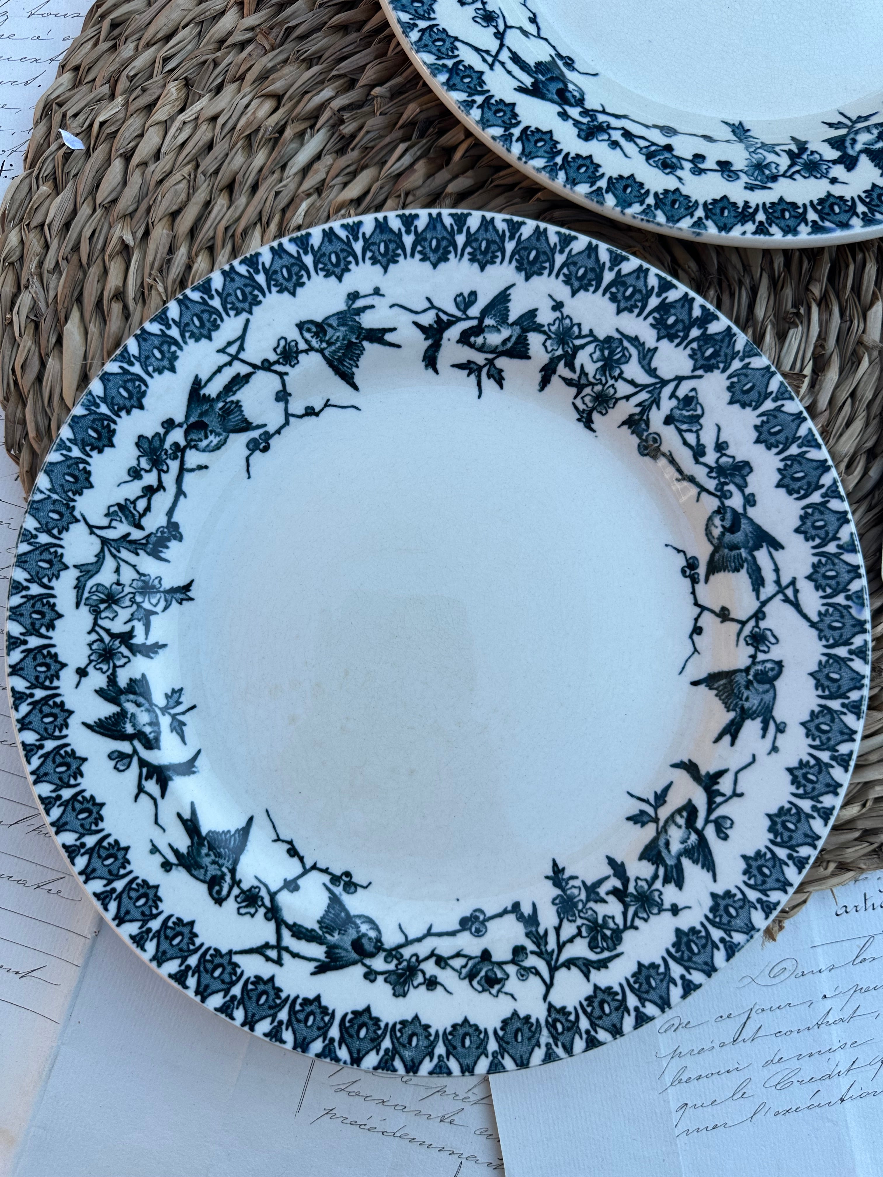 E. Duo d'assiettes plates Choisy le Roi modèle Lyonnais