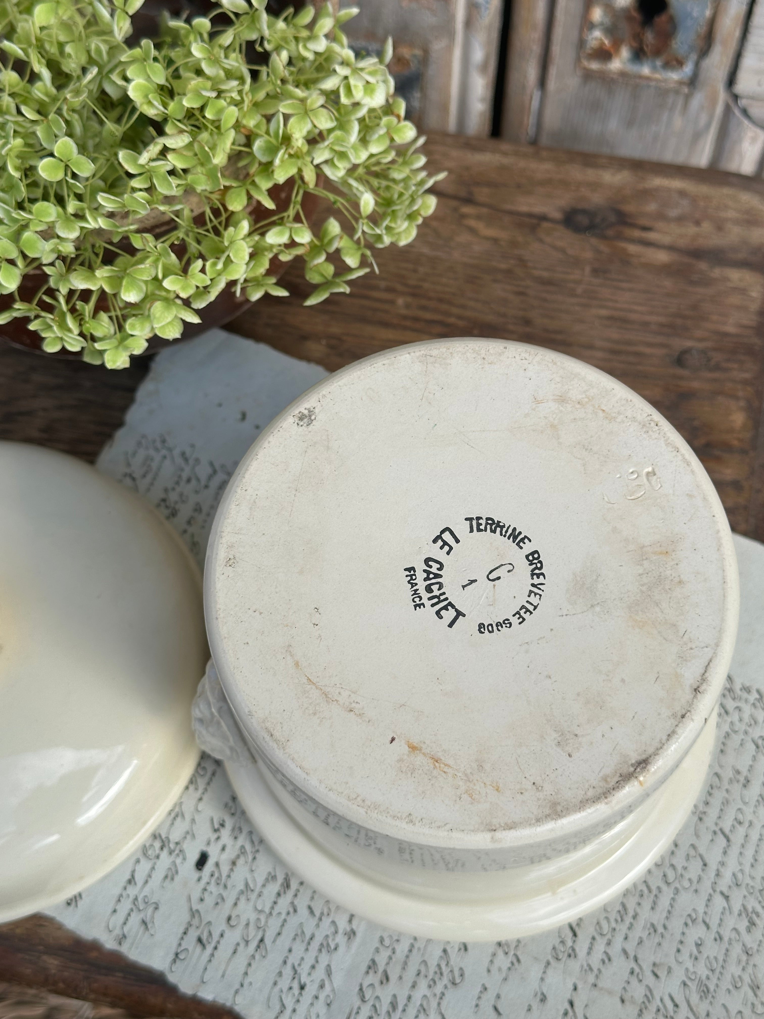 Large terrine Le Cachet - h 14.50cm