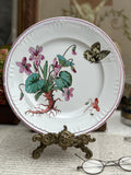 Assiette polychrome Jules Vieillard Bordeaux