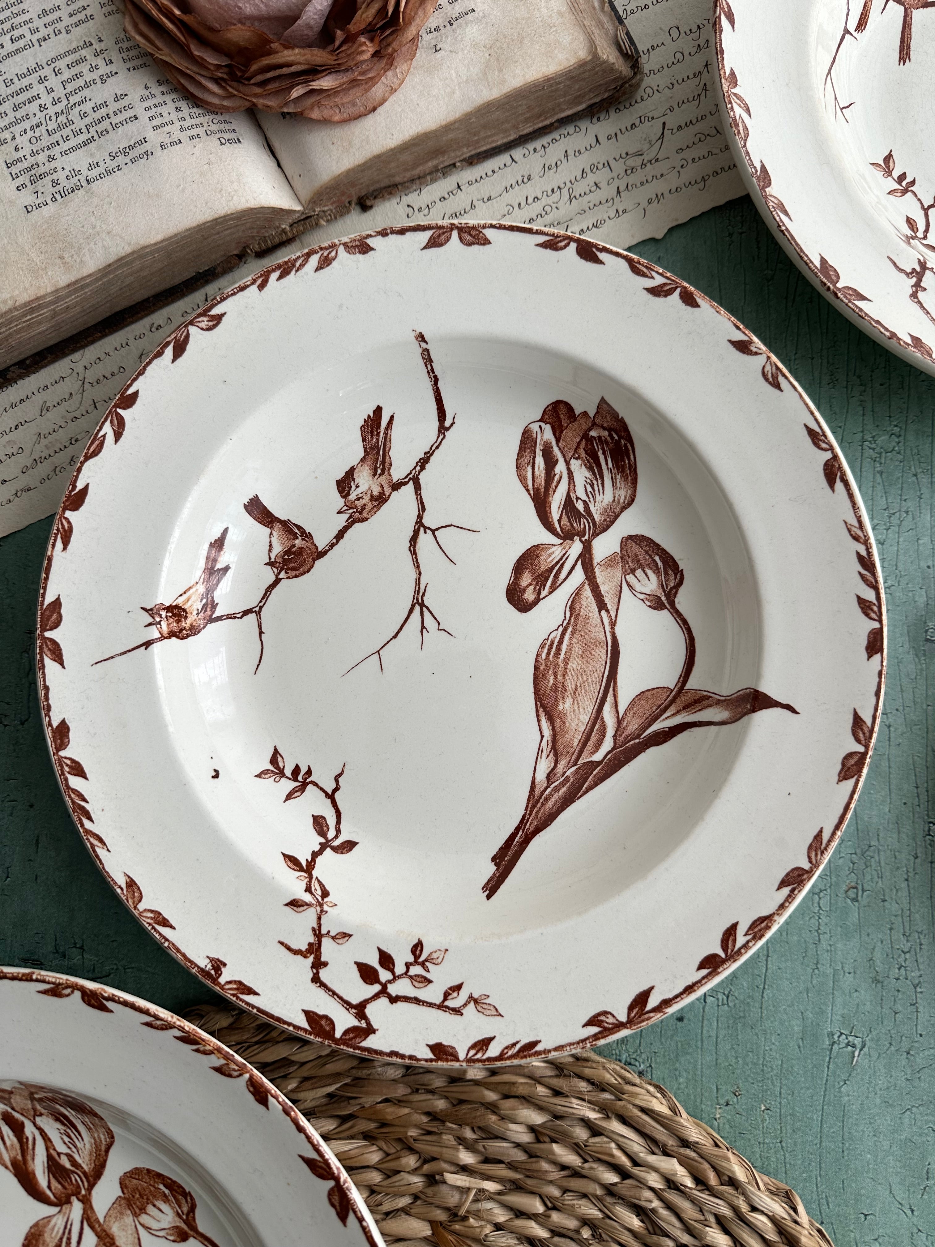 Set of 6 Choisy le Roi Oxford soup plates