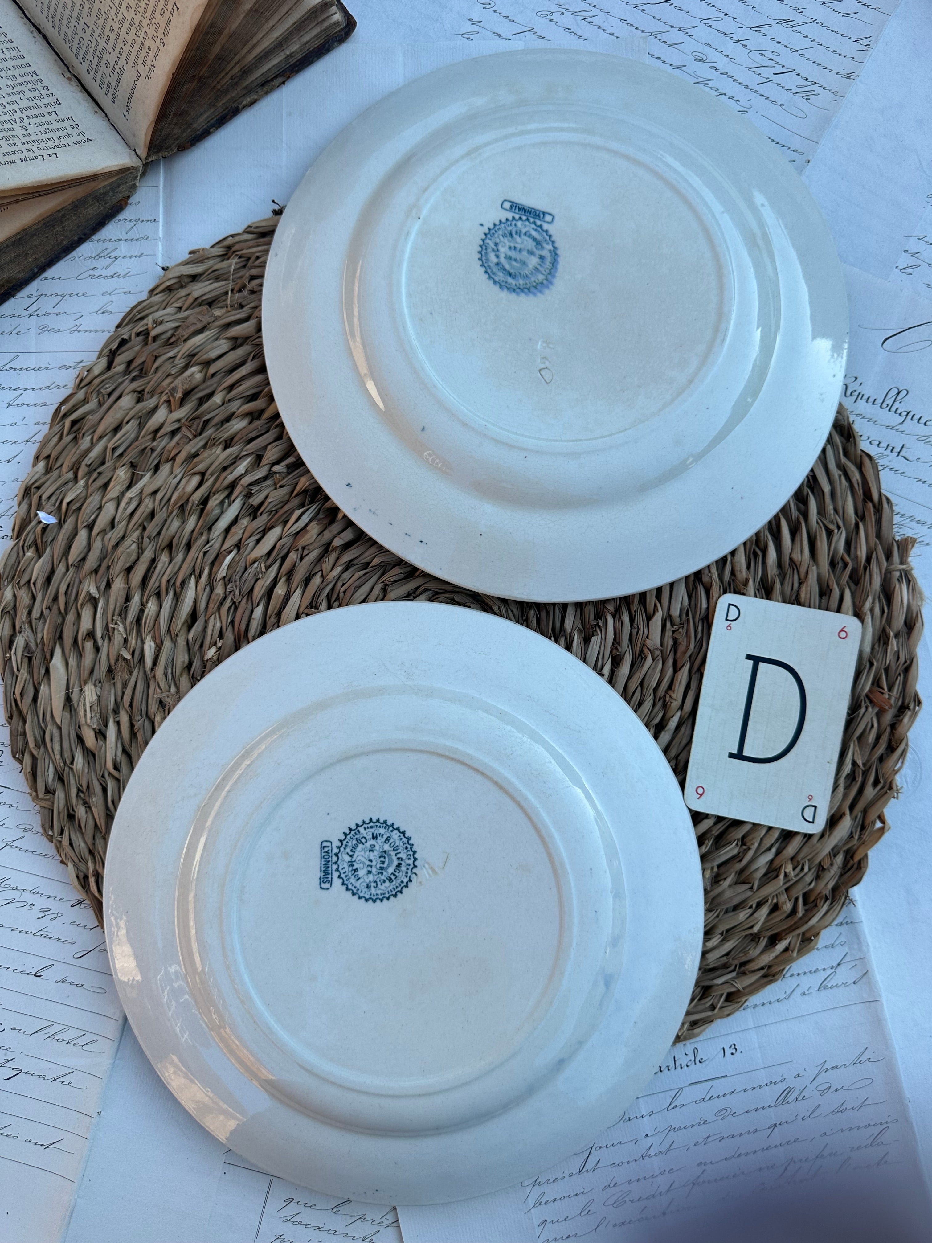D. Duo d'assiettes plates Choisy le Roi modèle Lyonnais