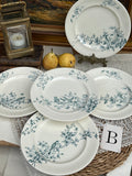 B. Suite de 5 assiettes à dessert Longwy modèle Mignon
