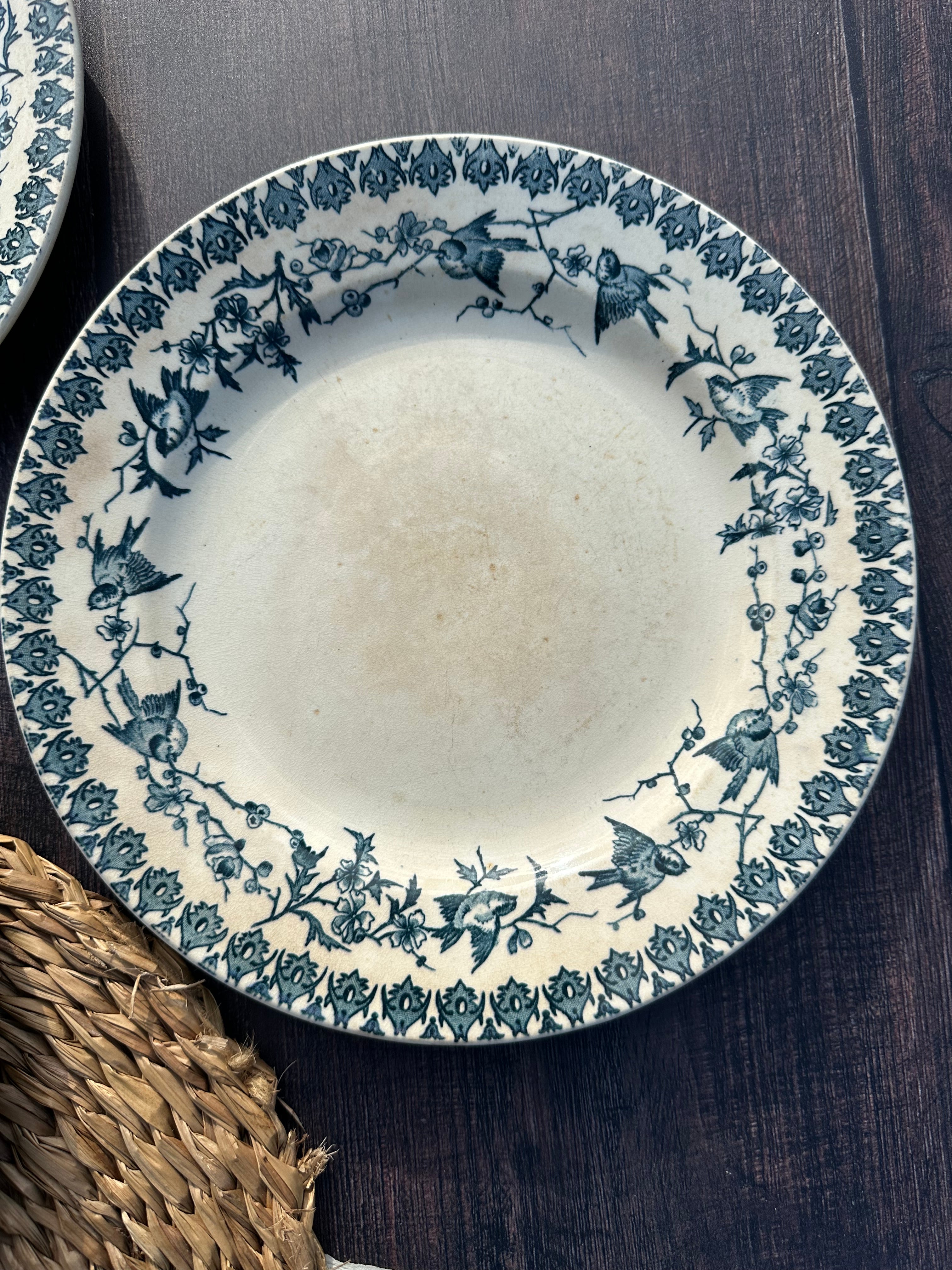 Reserved - 9 Choisy le Roi Lyonnais pattern plates (8 dinner plates and one dessert plate)