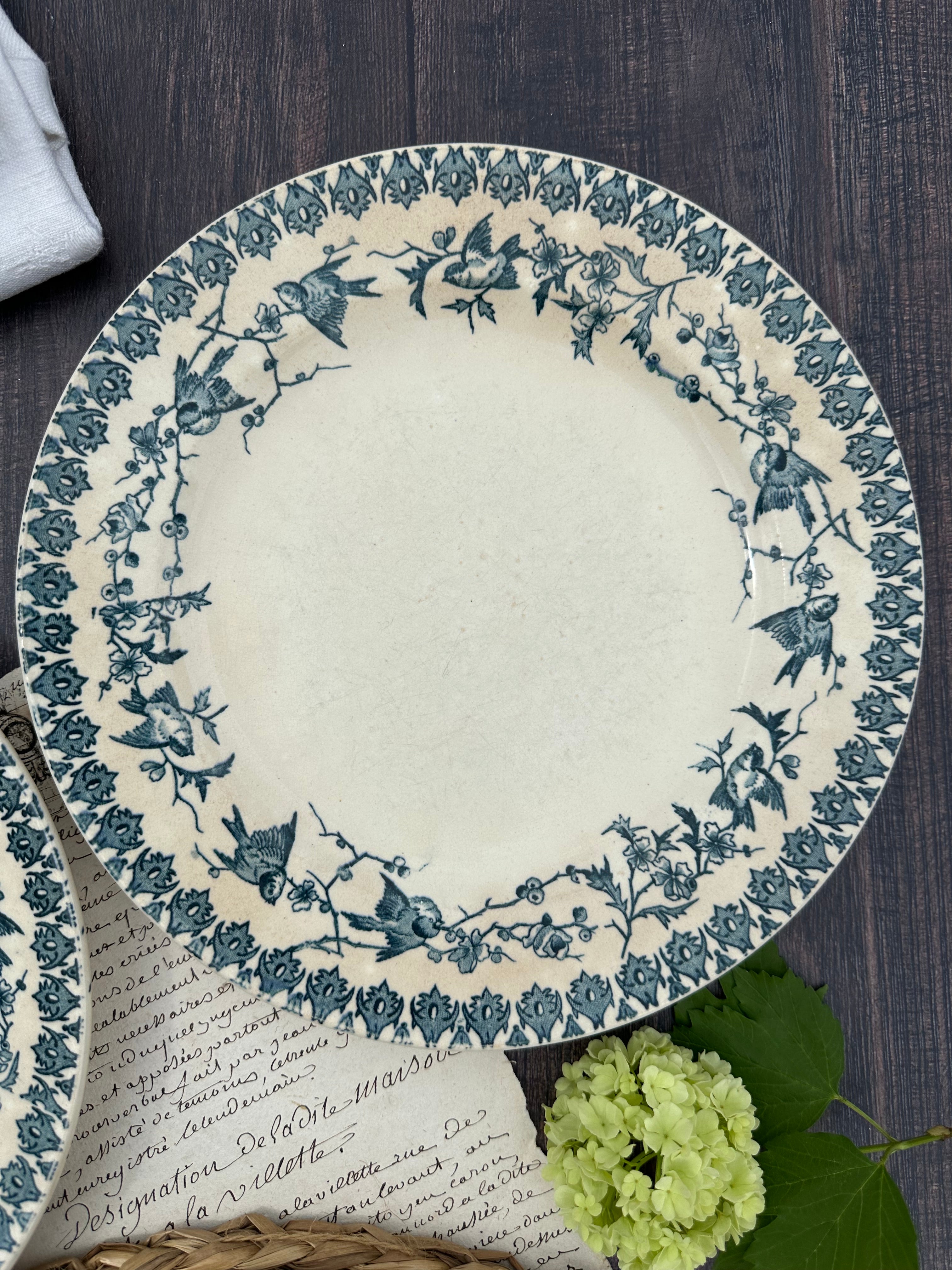 Reserved - 9 Choisy le Roi Lyonnais pattern plates (8 dinner plates and one dessert plate)