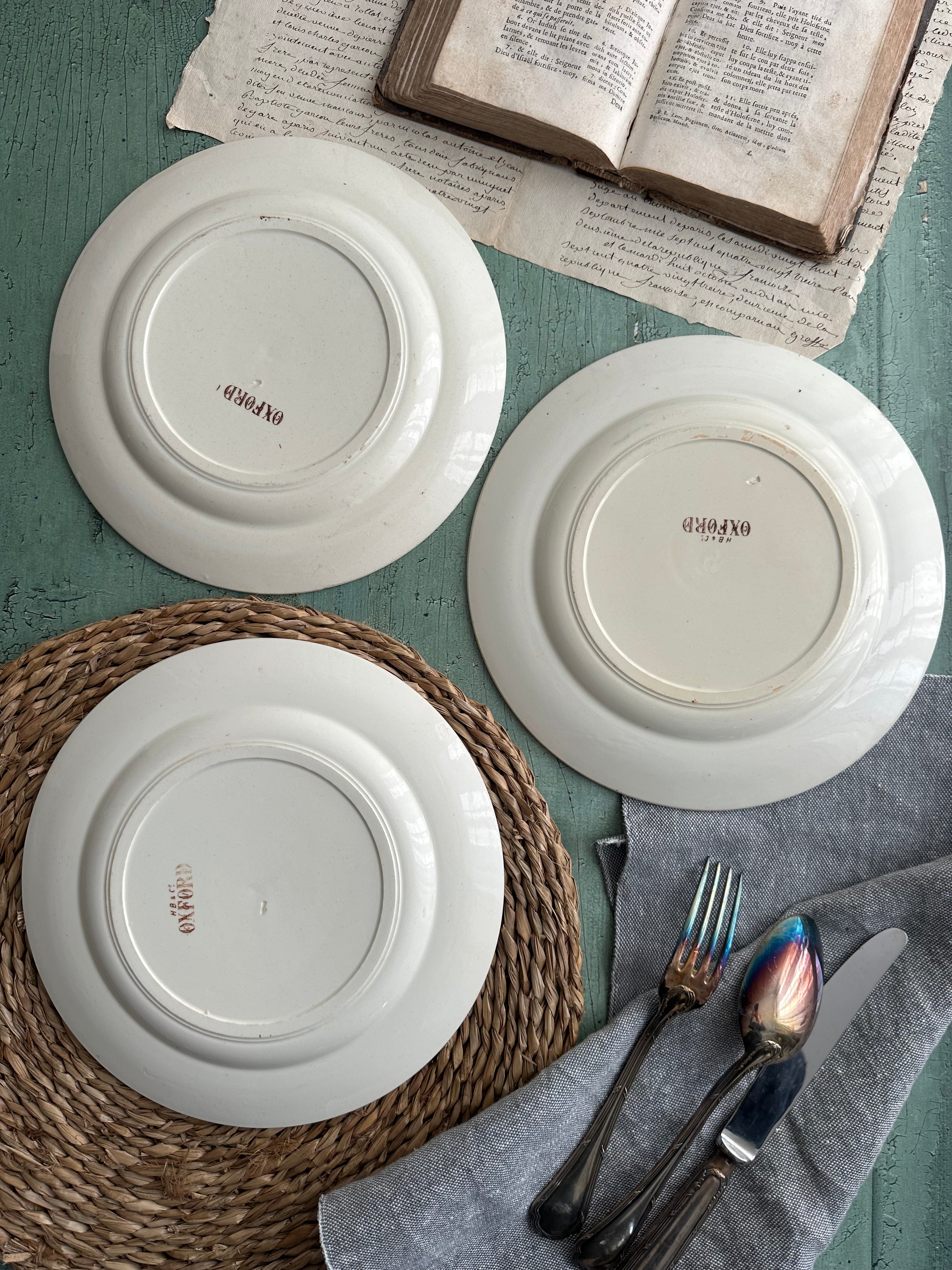 Set of 3 Choisy le Roi Oxford dinner plates