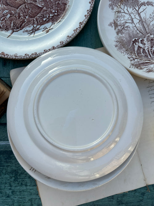 Longchamp Veneur flat plates