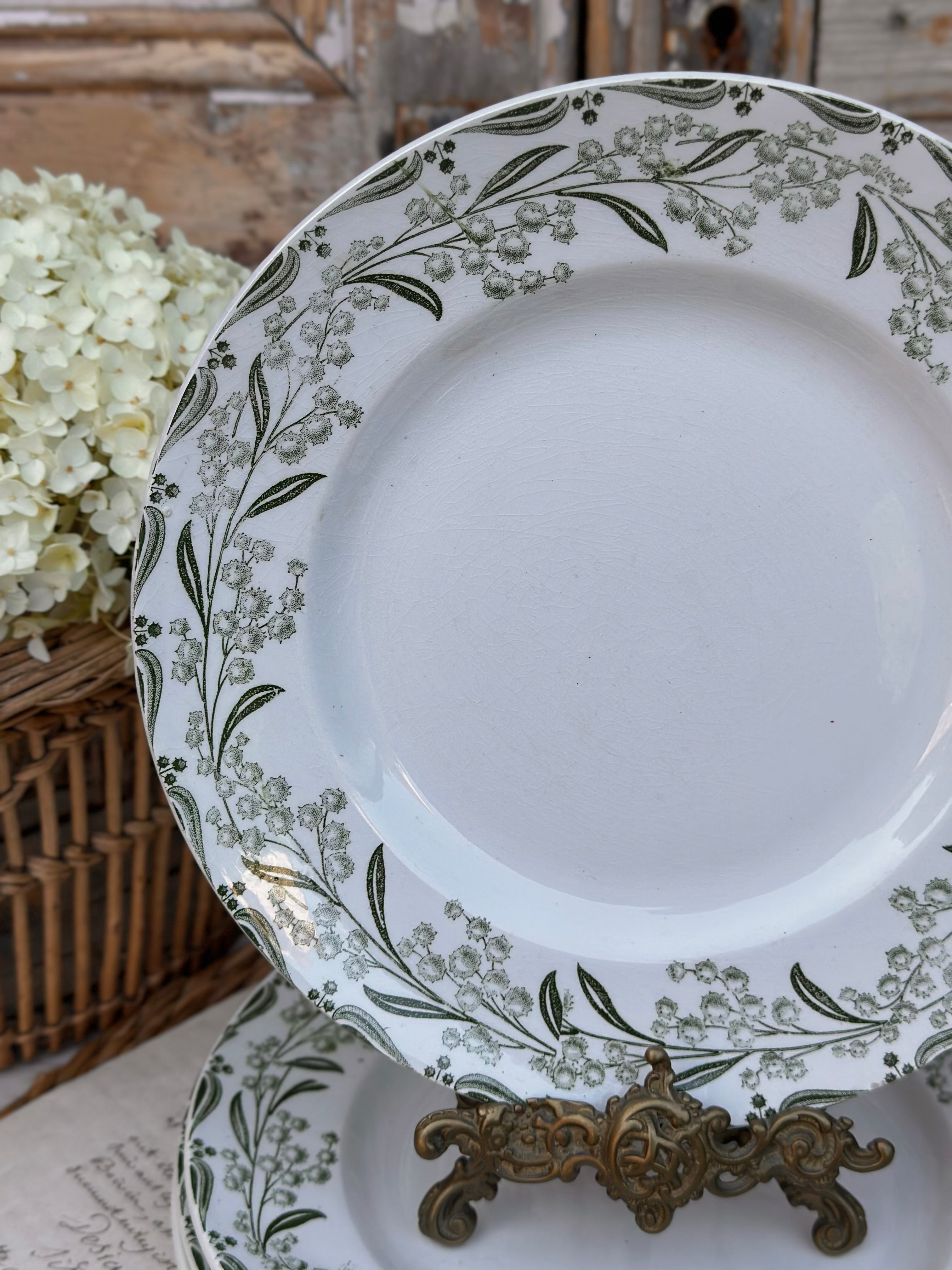 I. Série de 6 assiettes plates St. Amand modèle Mimosa