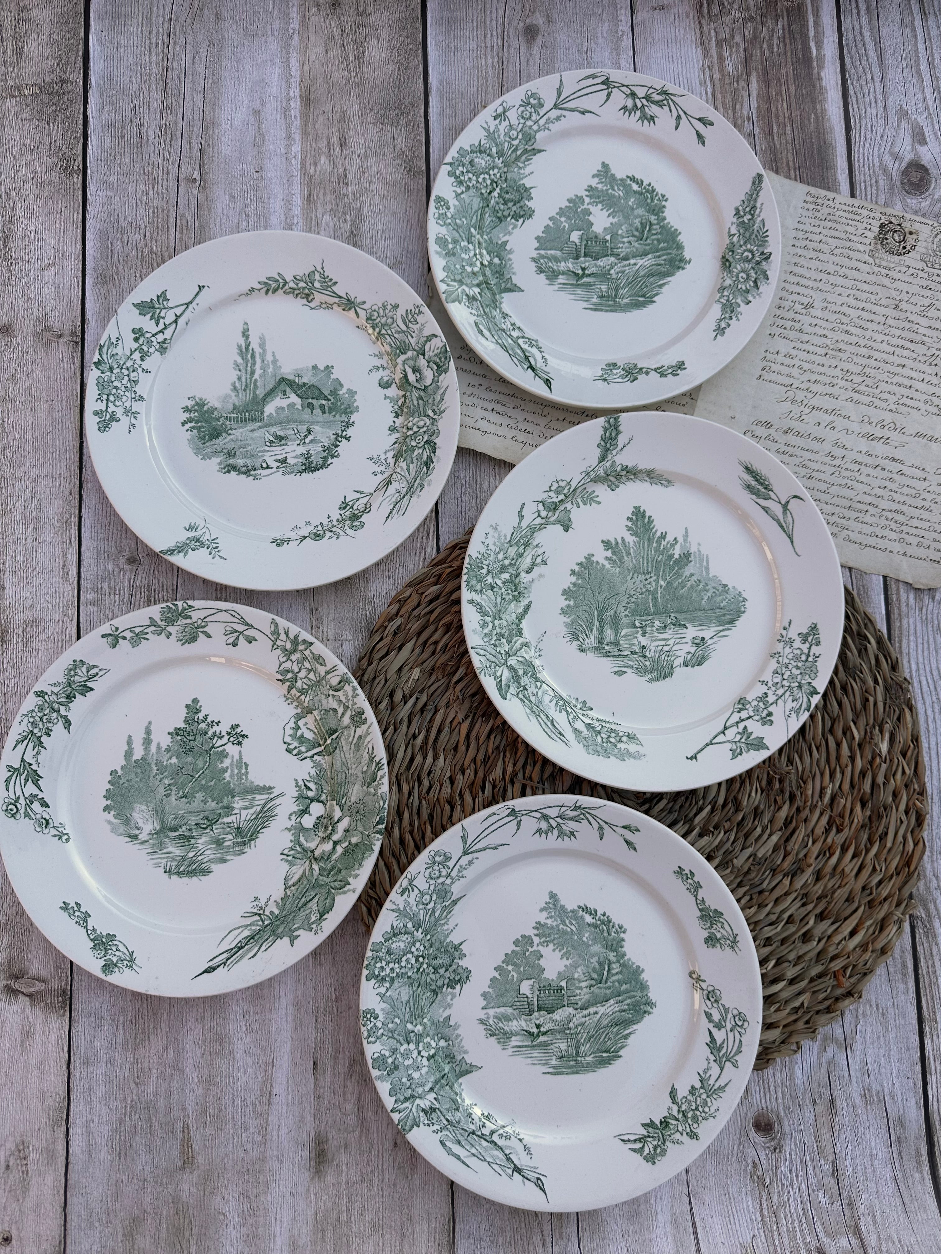 Suite de 5 assiettes plates Pexonne modèle Champêtre