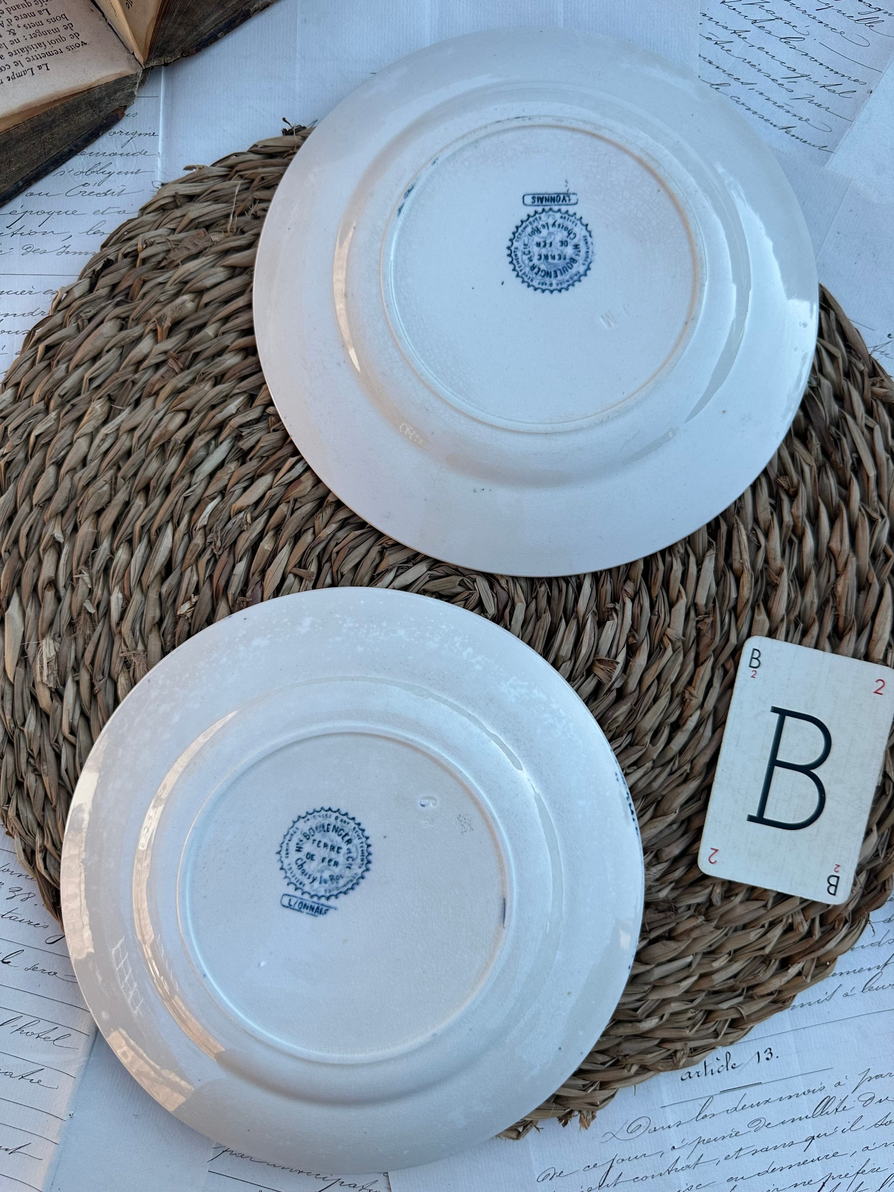 B. Duo d'assiettes à dessert Choisy le Roi modèle Lyonnais