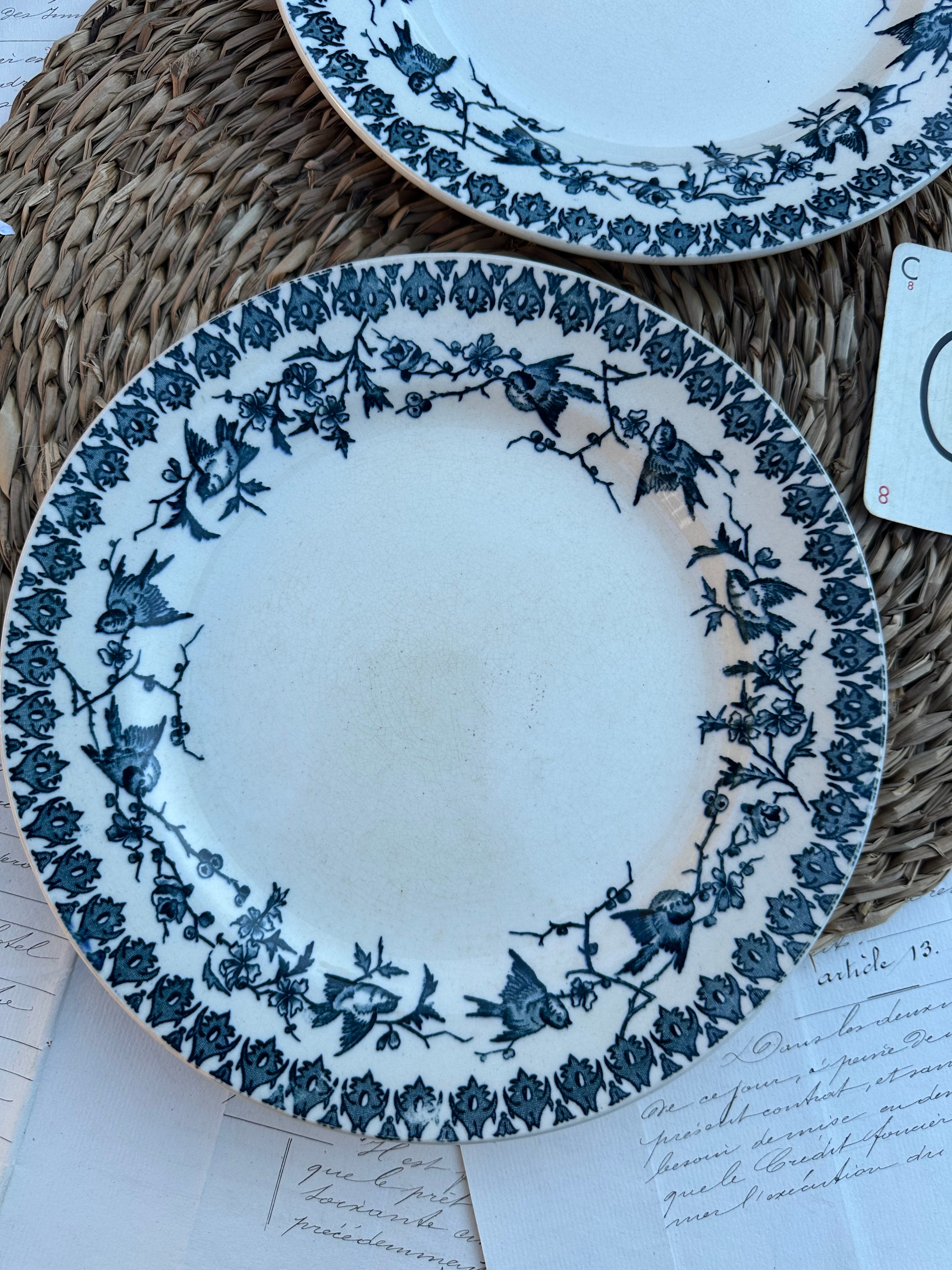 C. Duo d'assiettes plates Choisy le Roi modèle Lyonnais