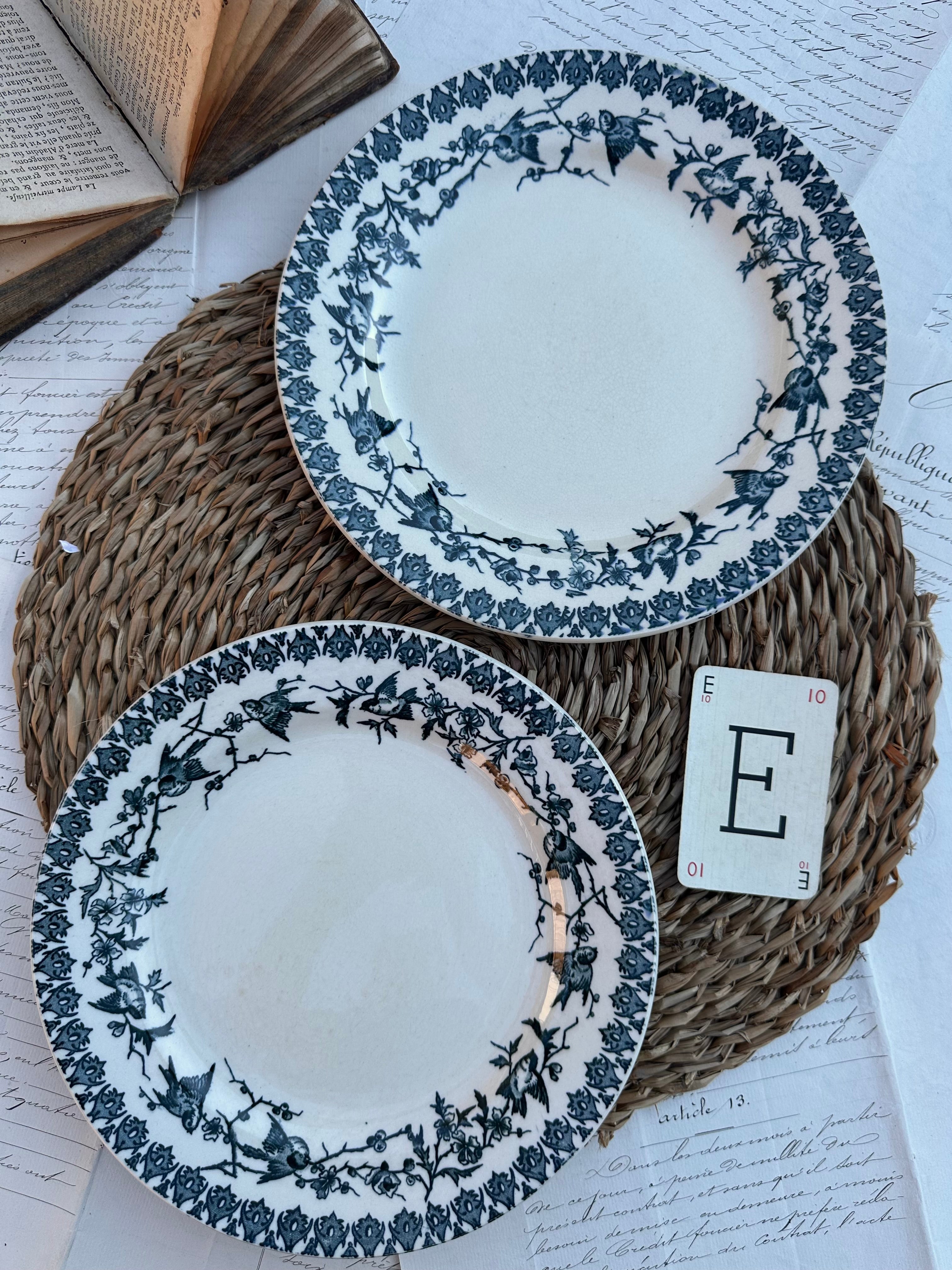 E. Duo d'assiettes plates Choisy le Roi modèle Lyonnais