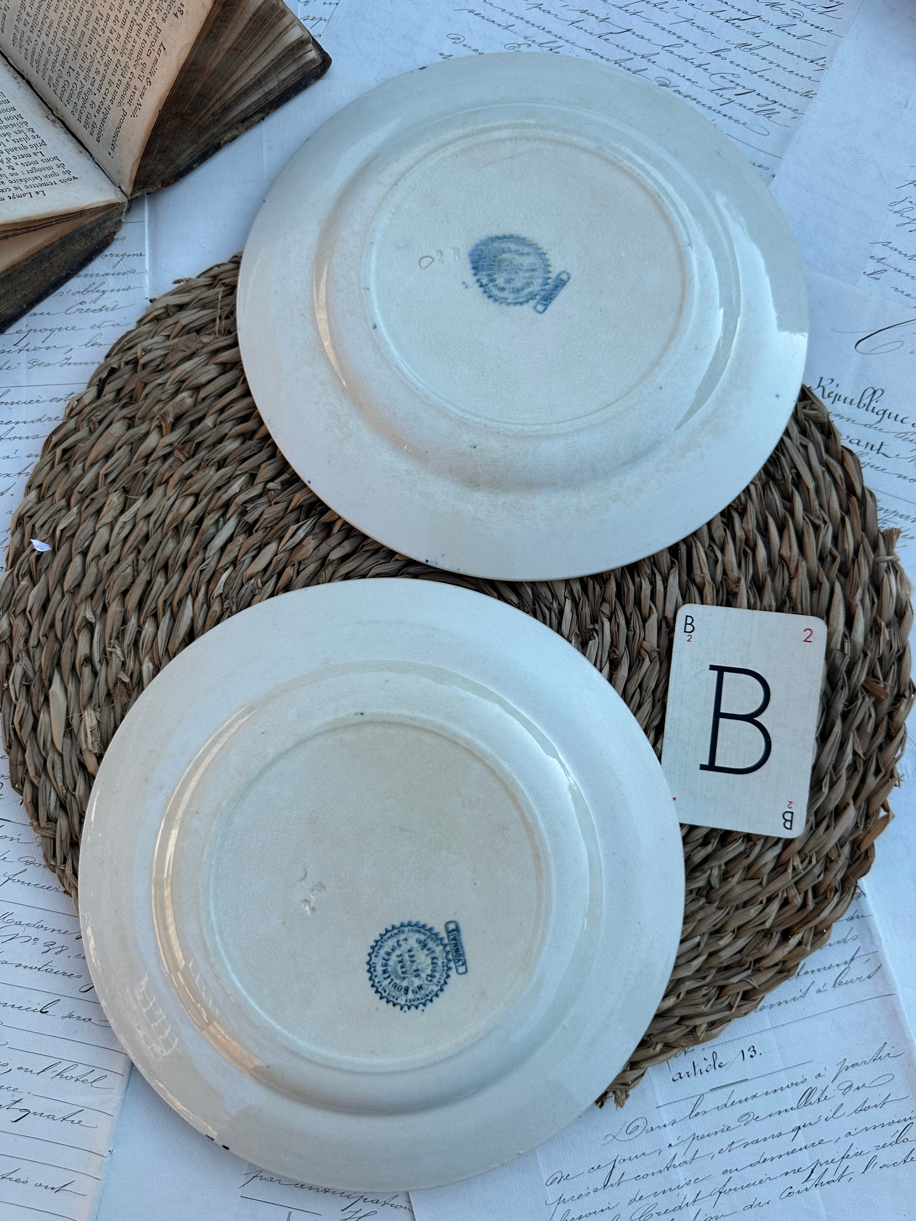 B. Duo d'assiettes plates Choisy le Roi modèle Lyonnais