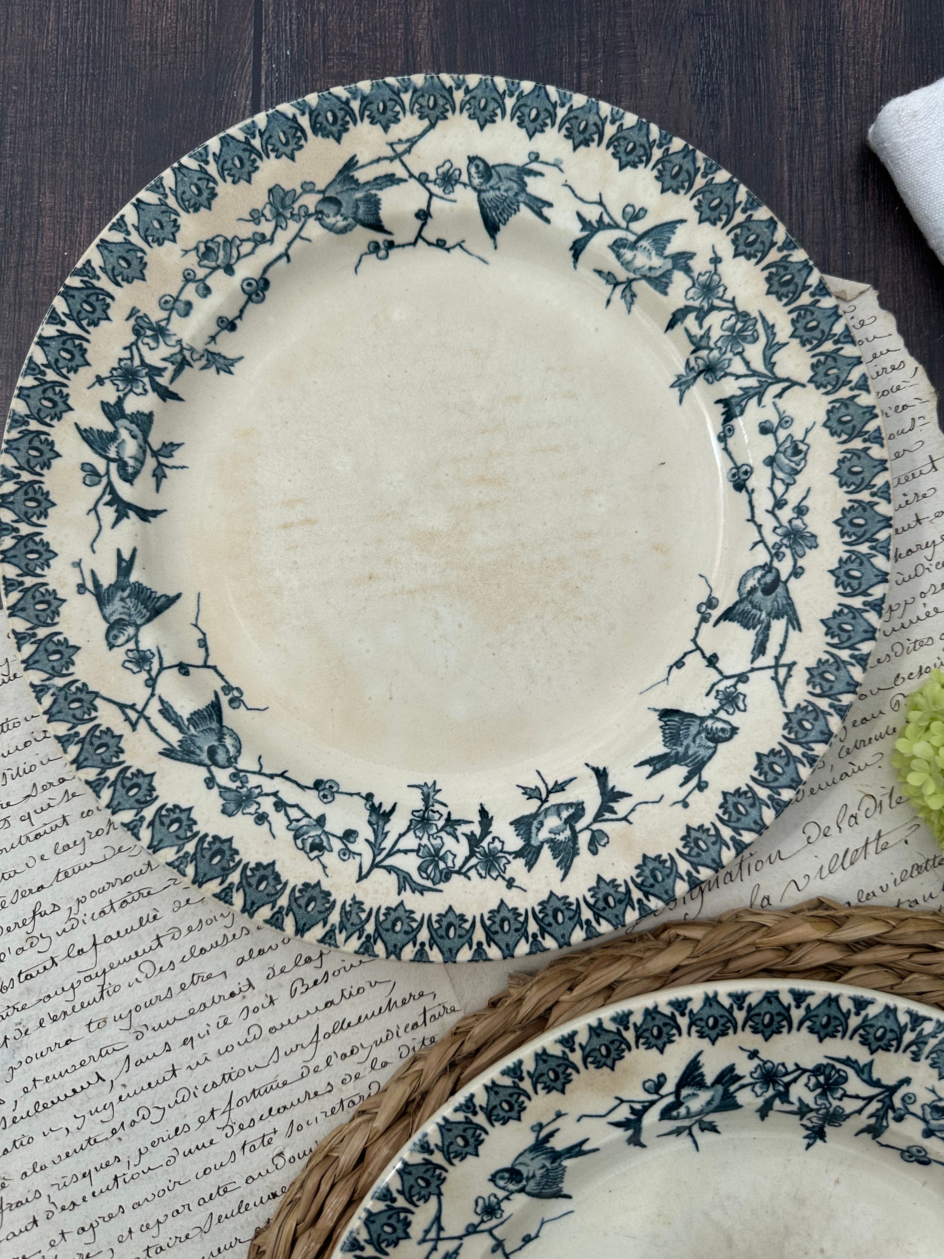 Reserved - 9 Choisy le Roi Lyonnais pattern plates (8 dinner plates and one dessert plate)