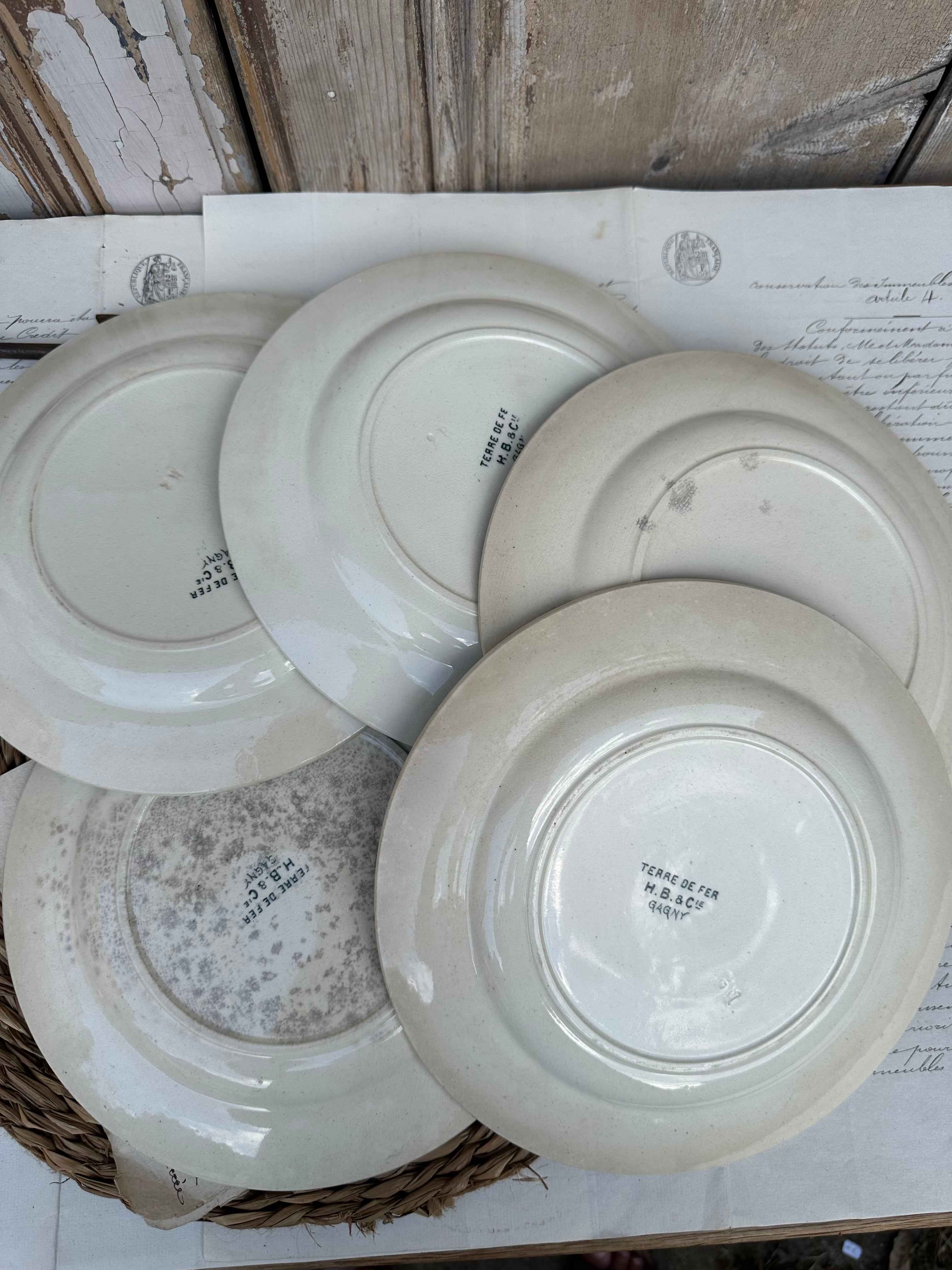 Suite de 5 assiettes plates Choisy le Roi modèle Gagny