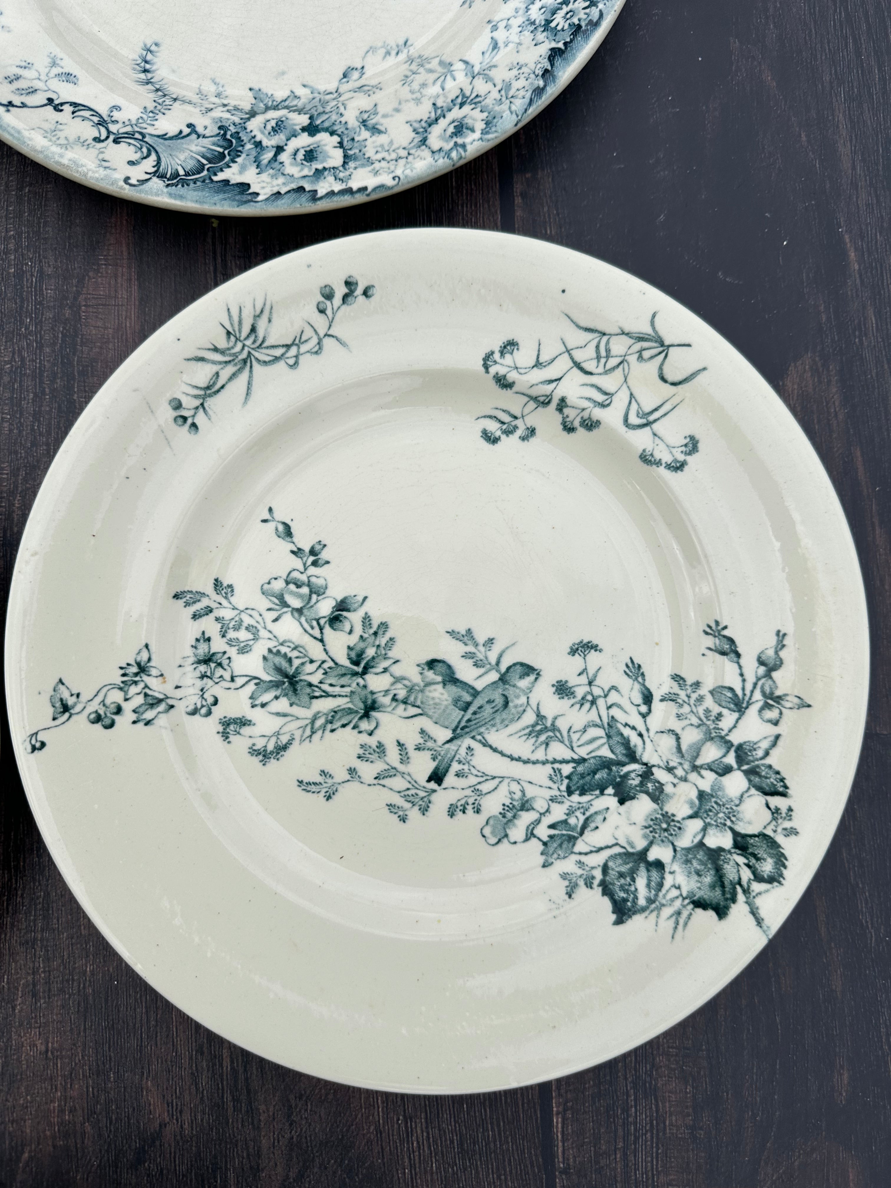 Set of 8 mismatched ironstone dinner plates