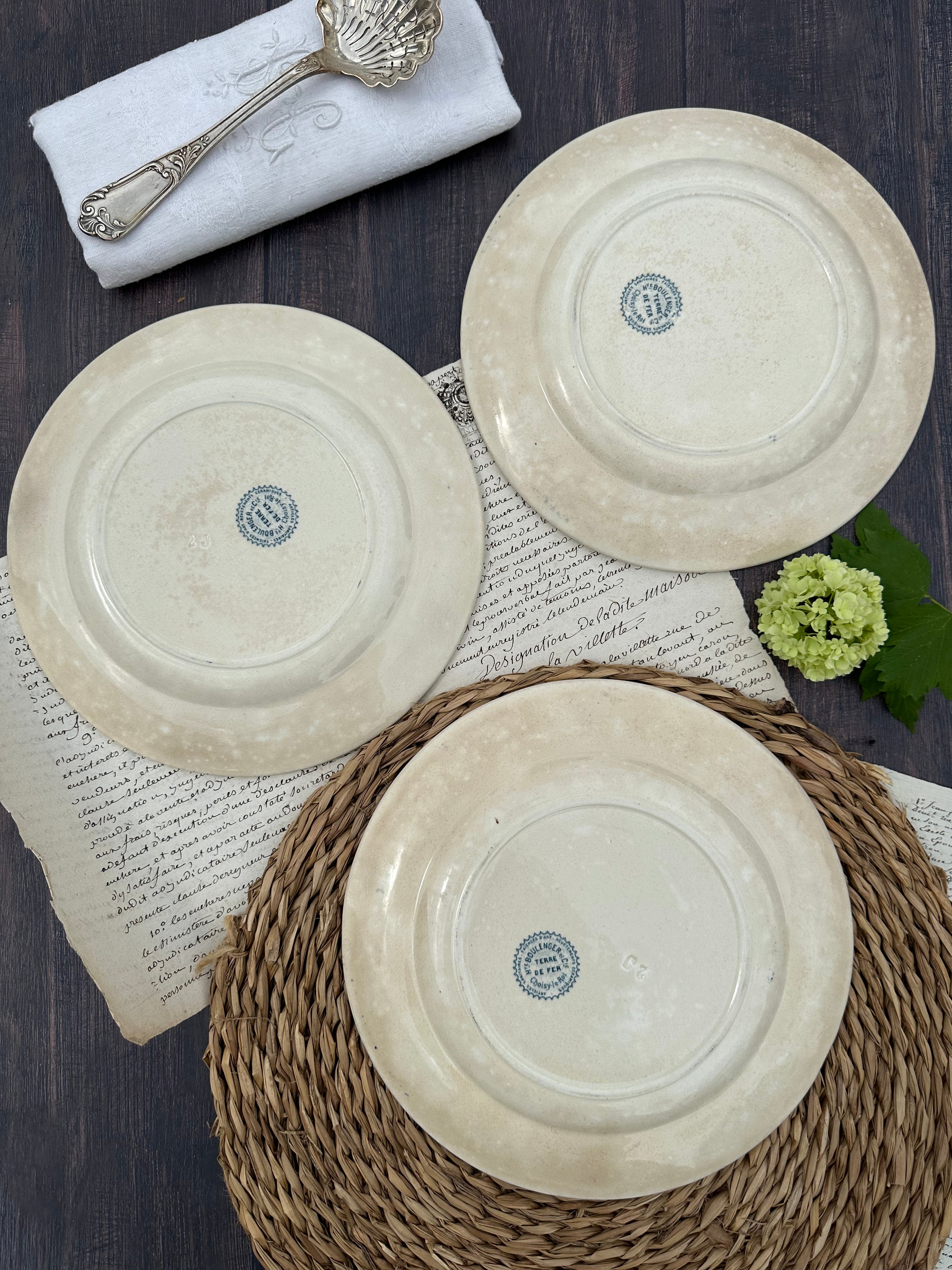 Reserved - 9 Choisy le Roi Lyonnais pattern plates (8 dinner plates and one dessert plate)