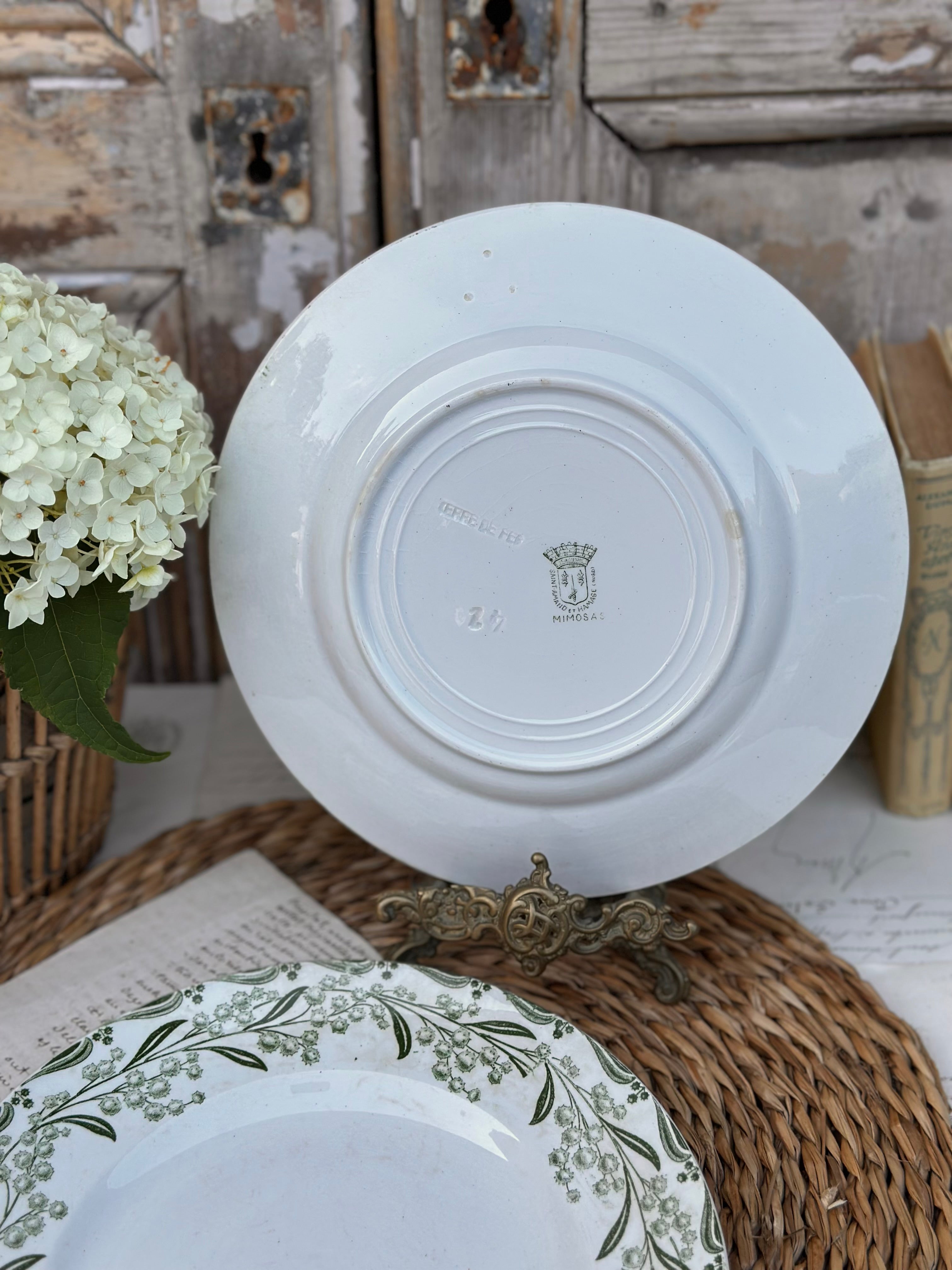 Paire d'assiettes plates St. Amand modèle Mimosa