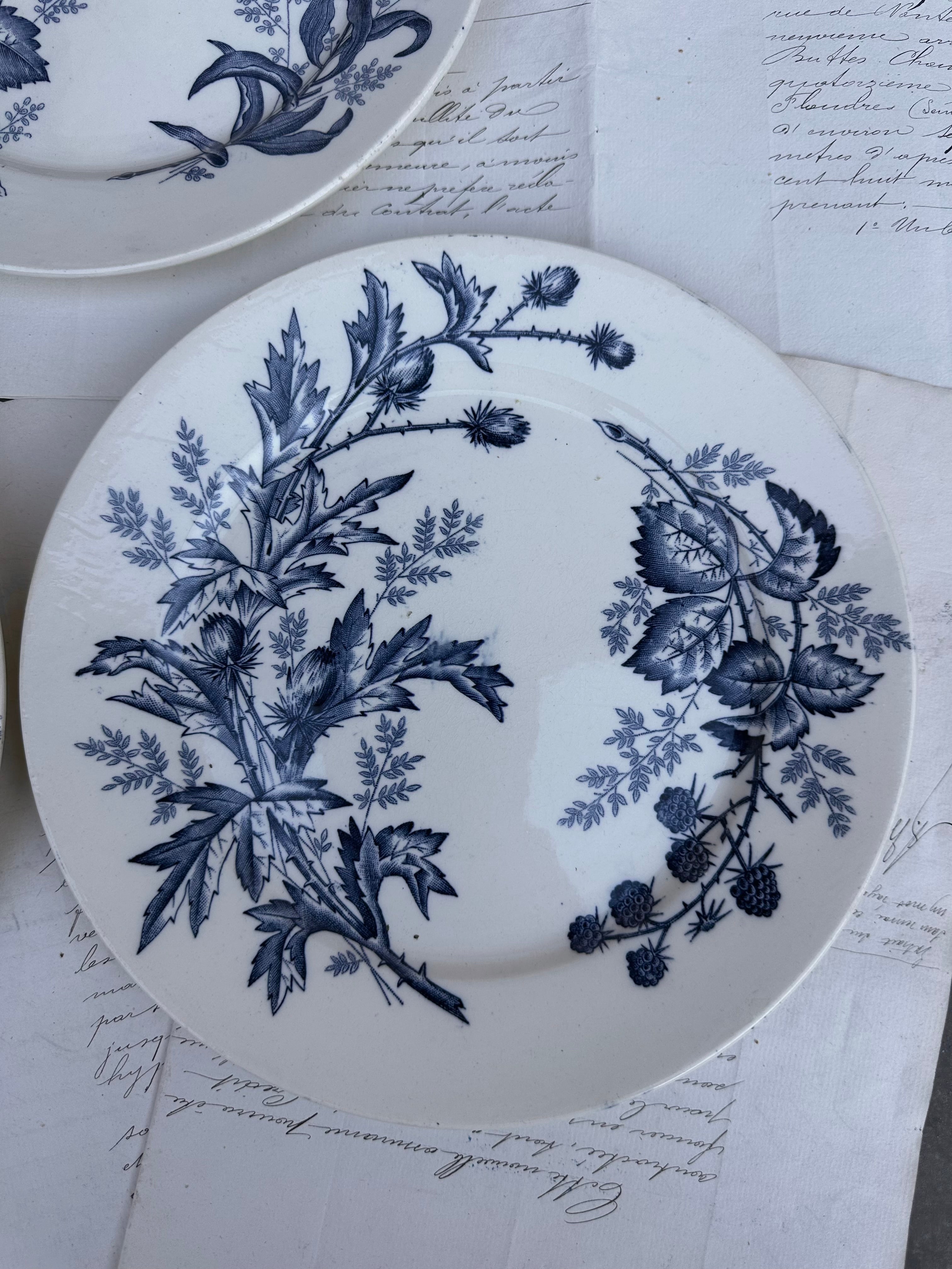 II. Trio d'assiettes BFK modèle Flora