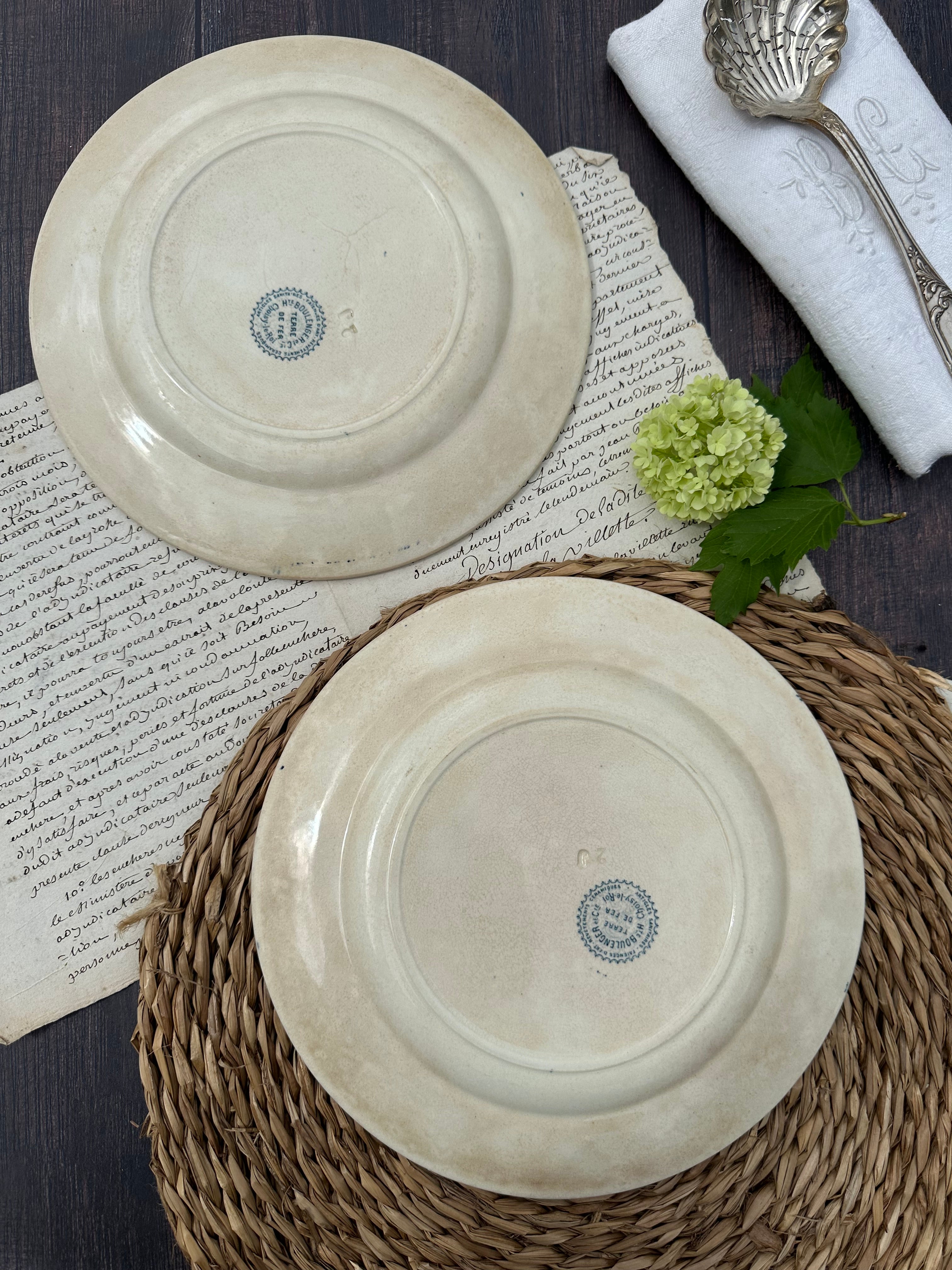 Reserved - 9 Choisy le Roi Lyonnais pattern plates (8 dinner plates and one dessert plate)