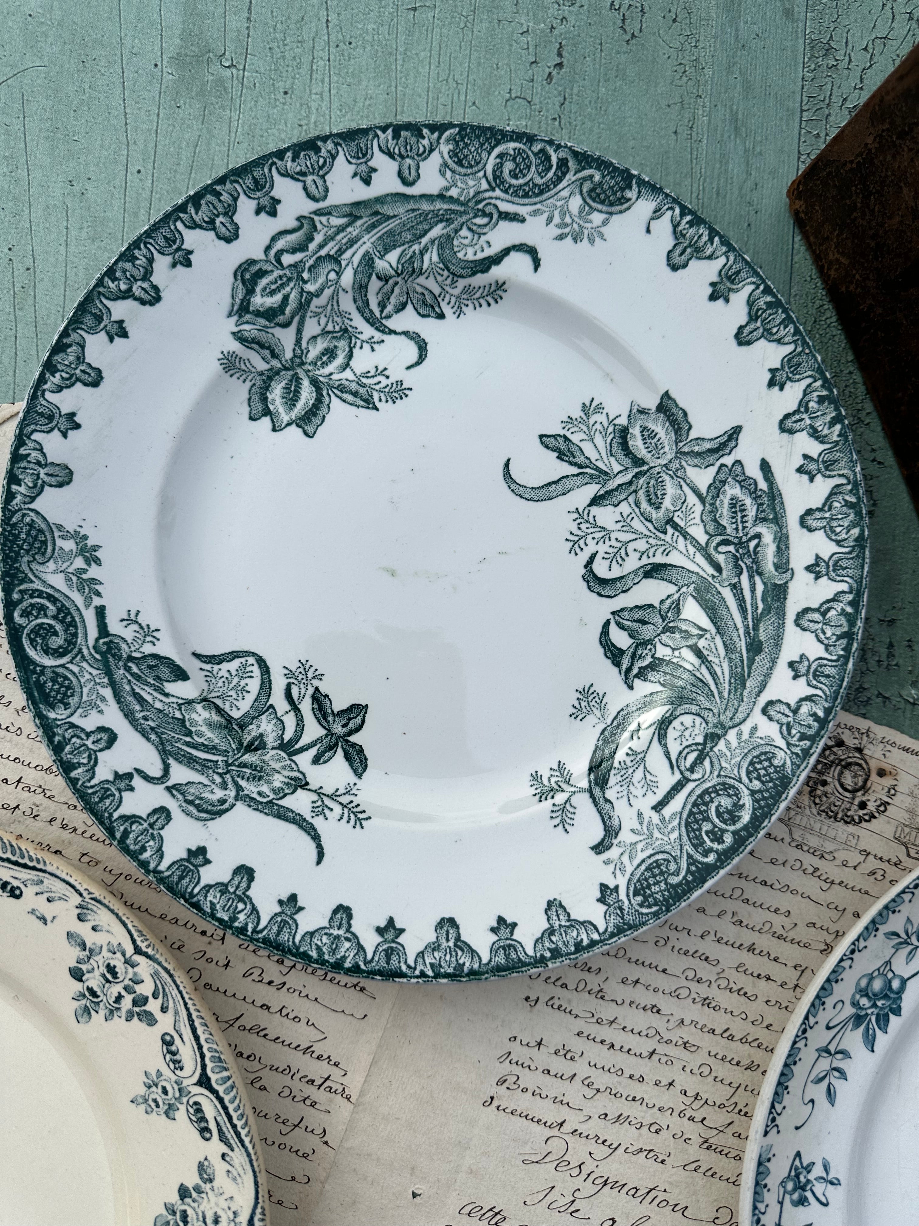 III. Set of 6 mismatched ironstone dinner plates