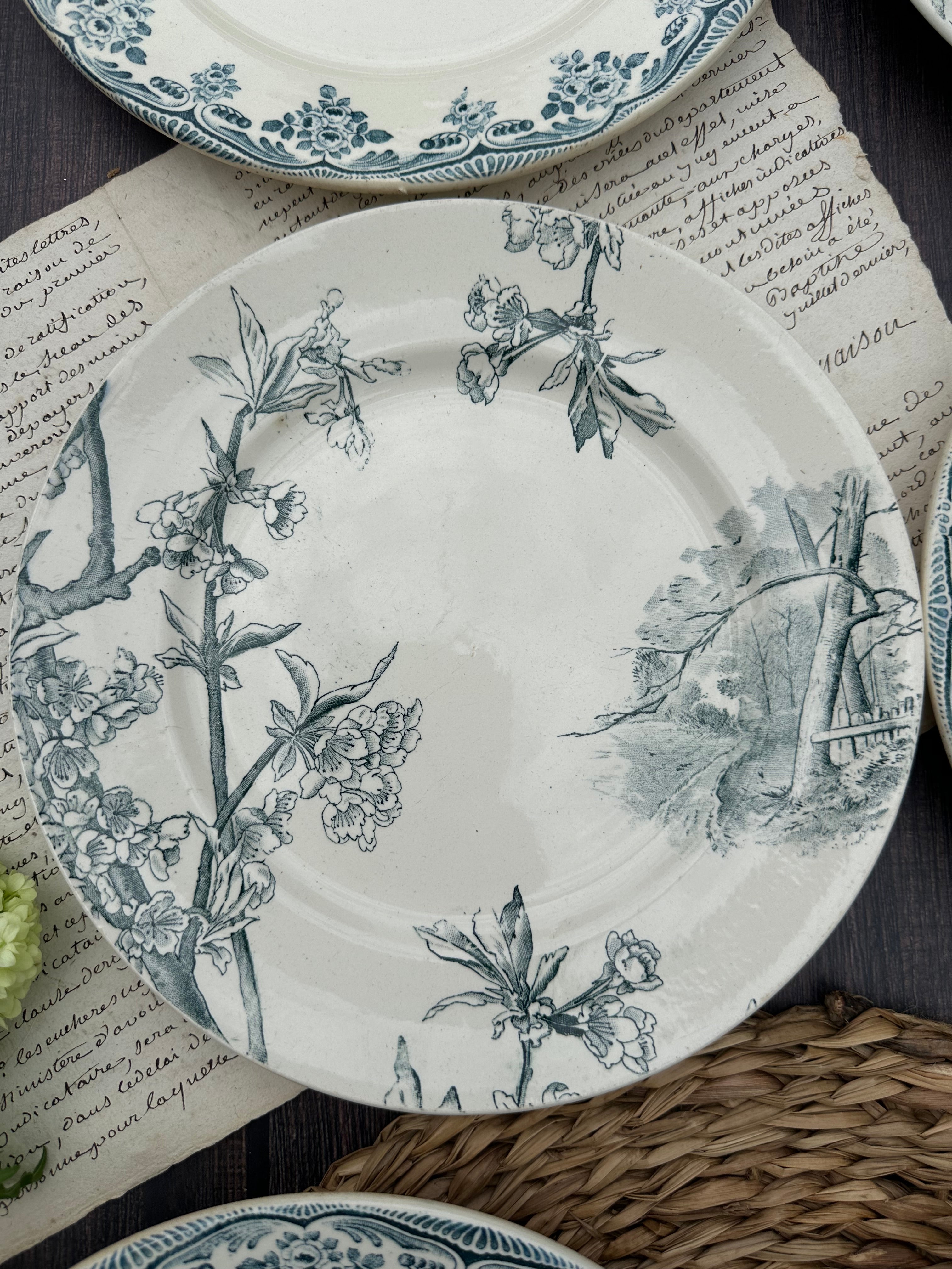 II. Set of 6 mismatched ironstone plates