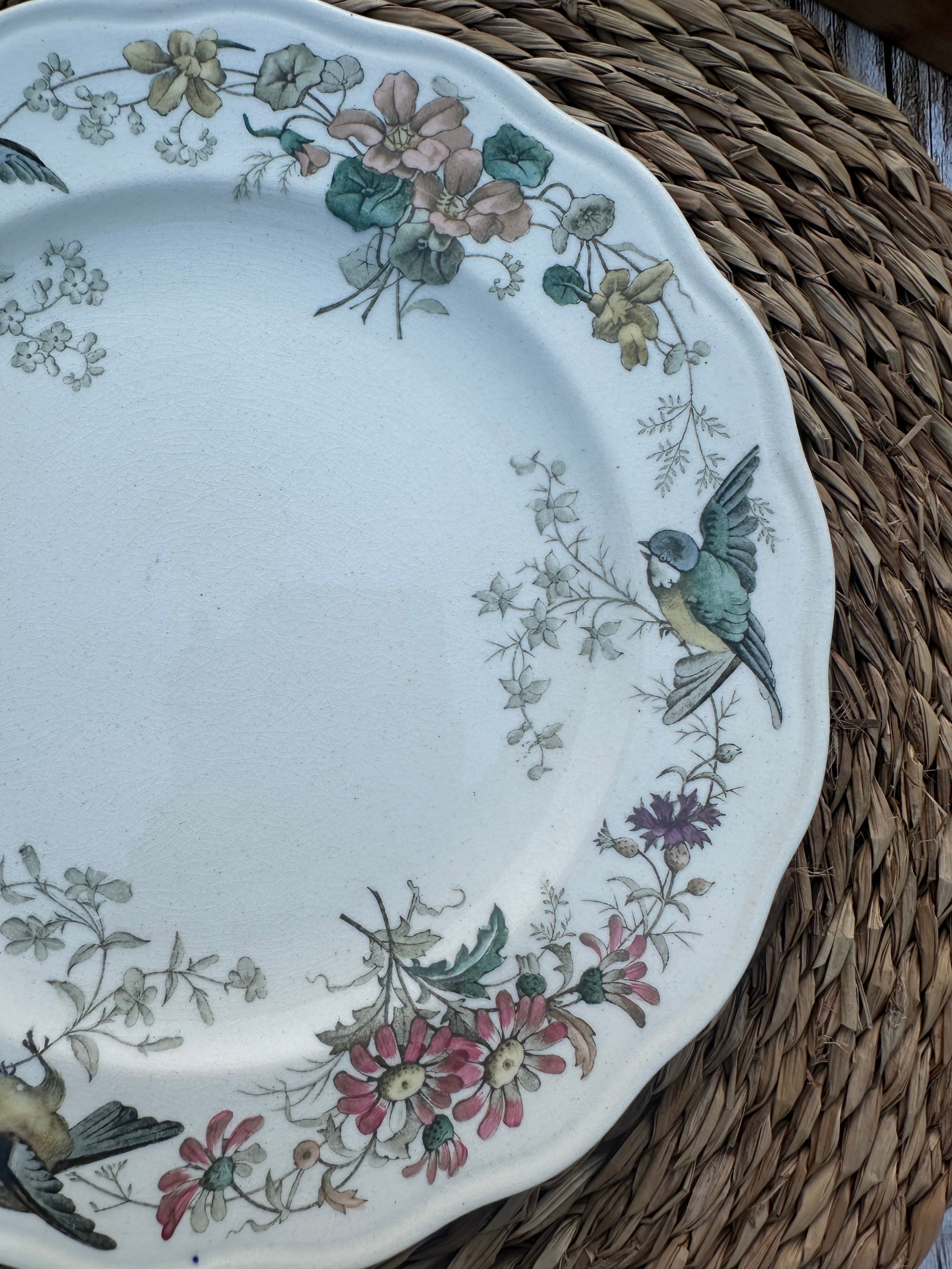 Polychrome plate BWM & Co (Brown Westhead Moore) Indiana pattern - September 1868