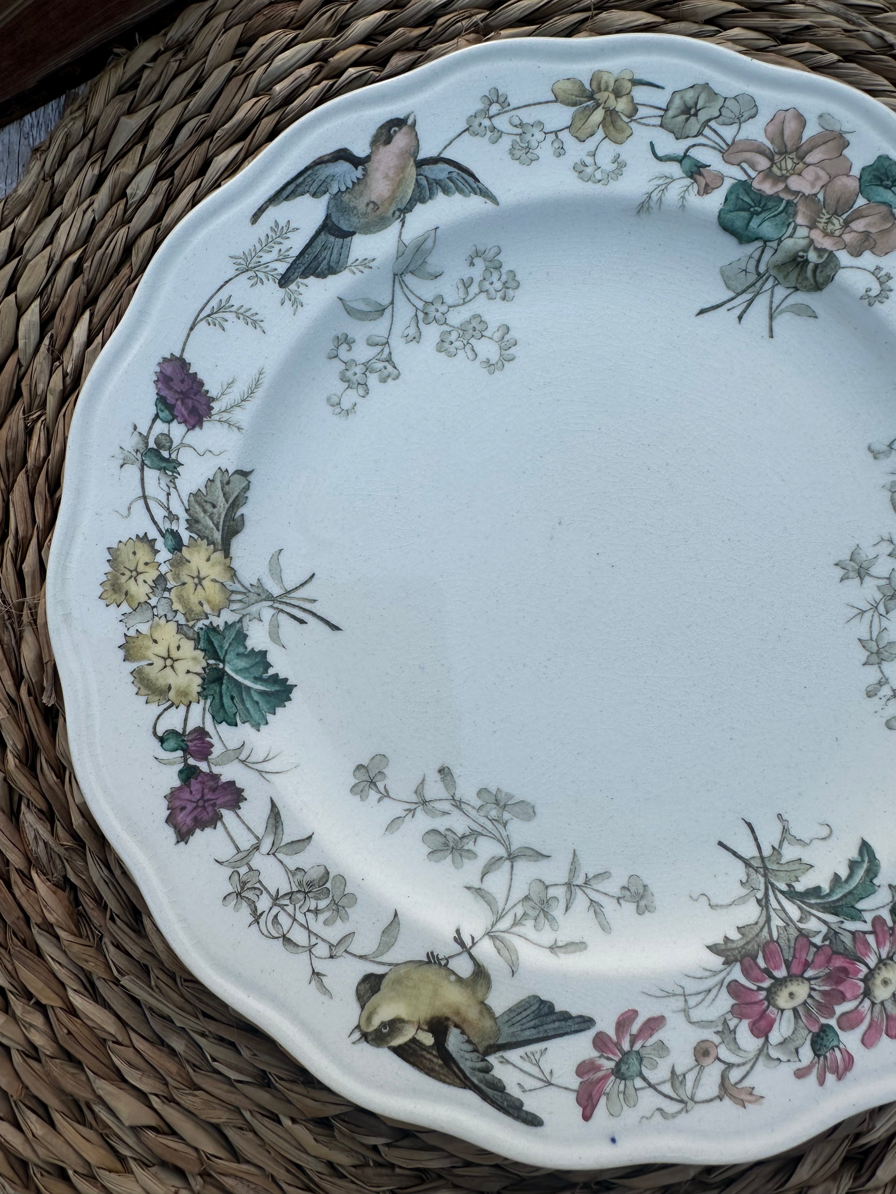 Polychrome plate BWM & Co (Brown Westhead Moore) Indiana pattern - September 1868