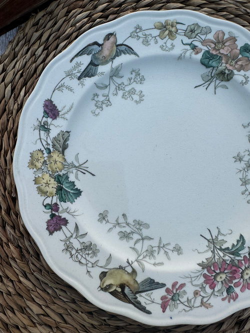 Polychrome plate BWM & Co (Brown Westhead Moore) Indiana pattern - September 1868