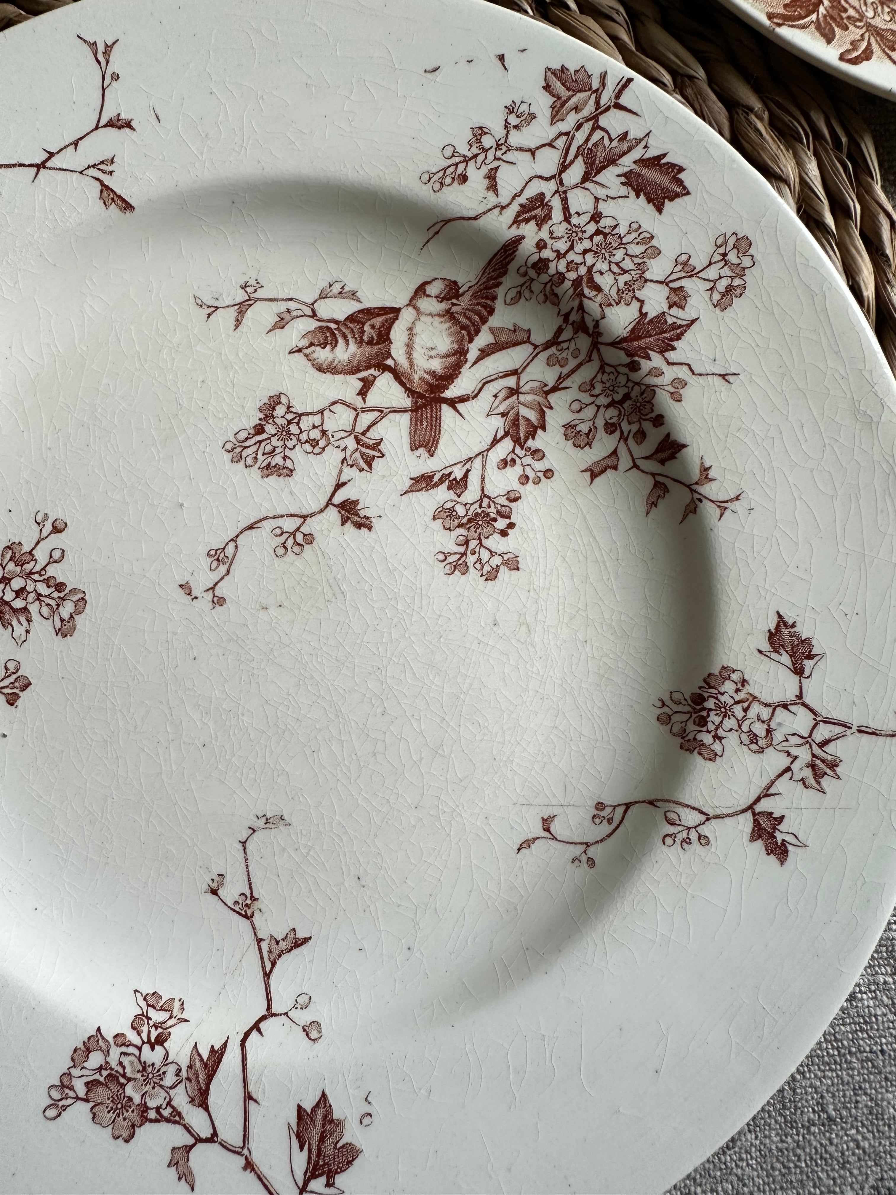 Suite de 6 assiettes à dessert dépareillées, Lunéville Fauvette, Badonviller Marine