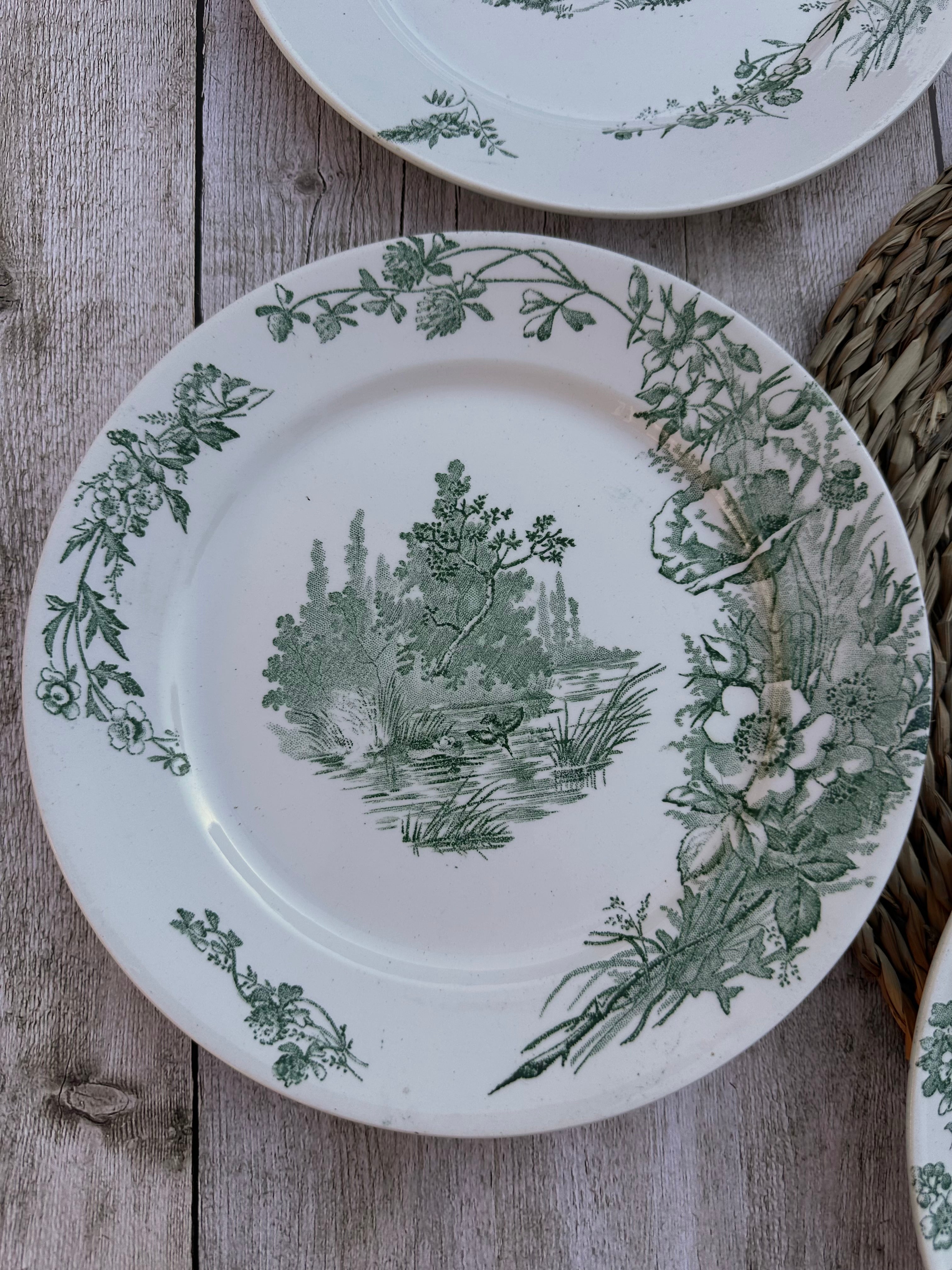Suite de 5 assiettes plates Pexonne modèle Champêtre