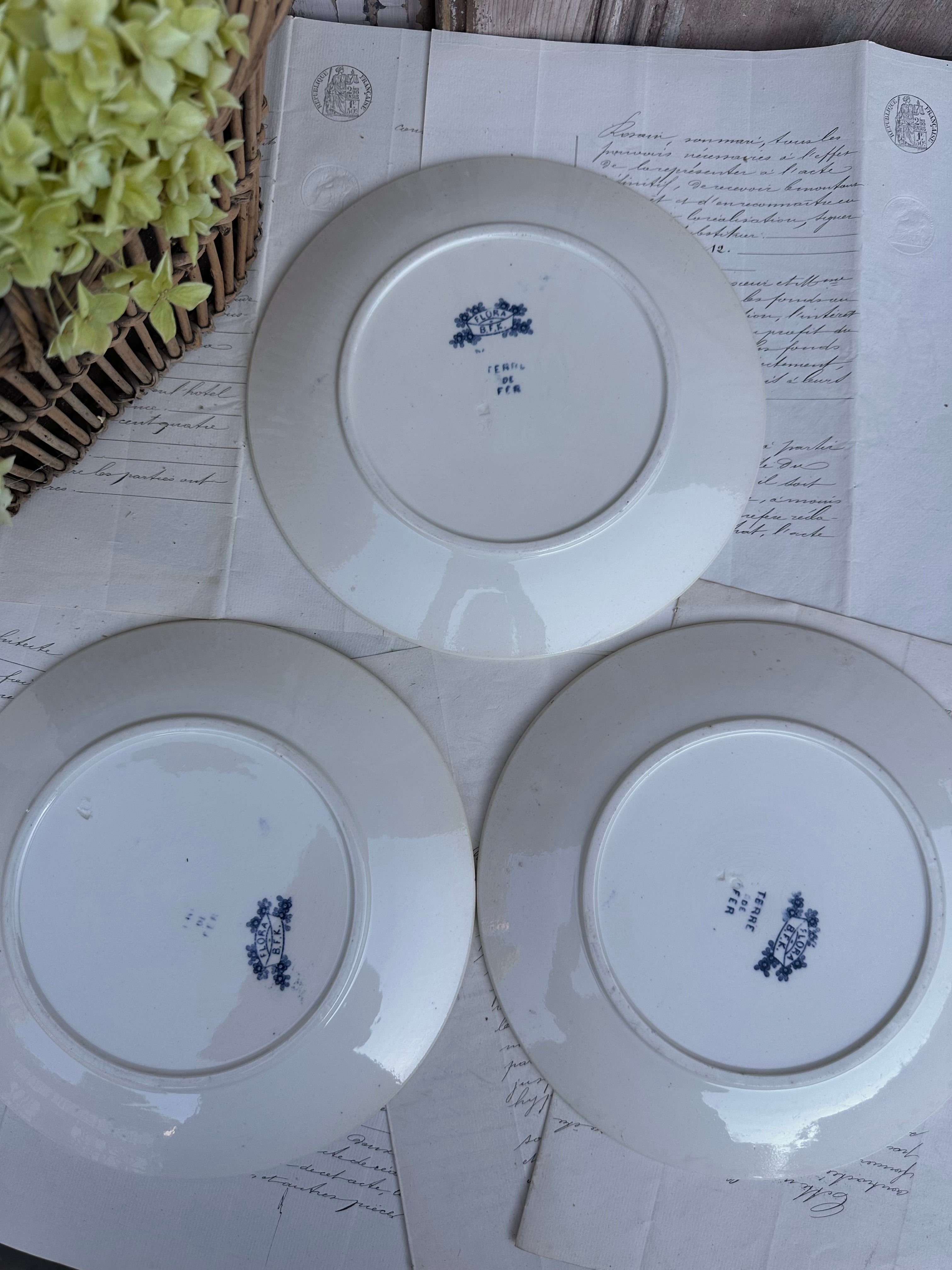 I. Trio d'assiettes BFK modèle Flora