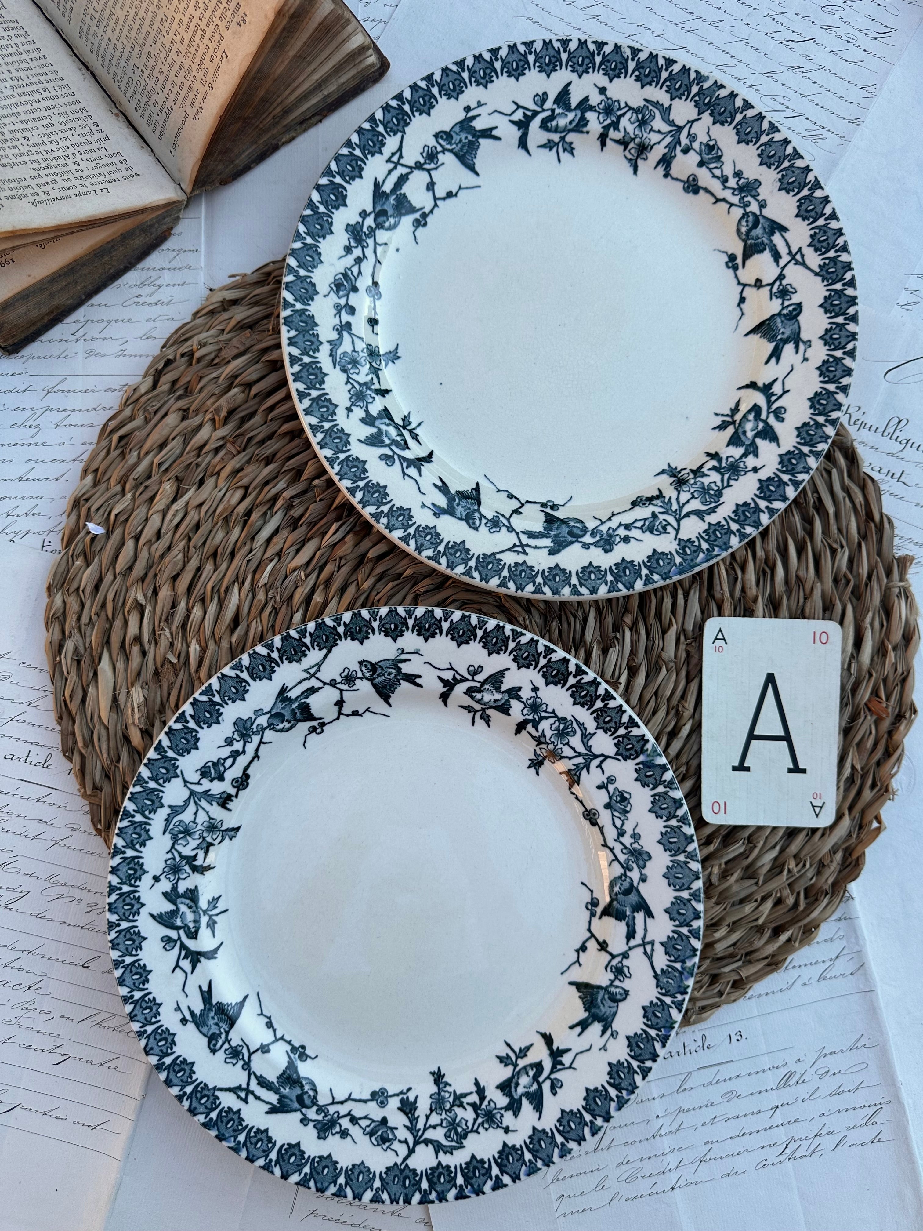 A. Duo d'assiettes plates Choisy le Roi modèle Lyonnais