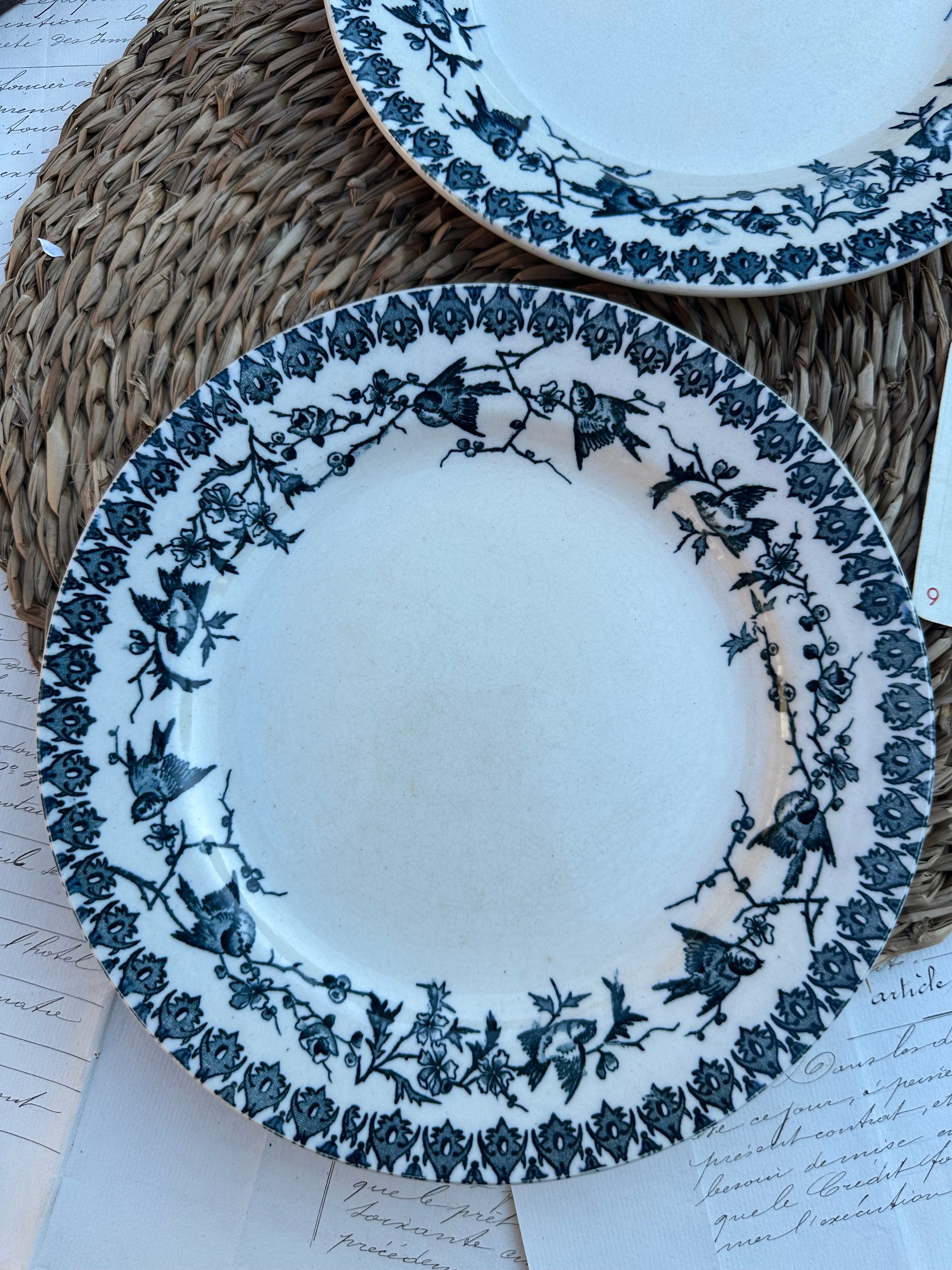 D. Duo d'assiettes plates Choisy le Roi modèle Lyonnais