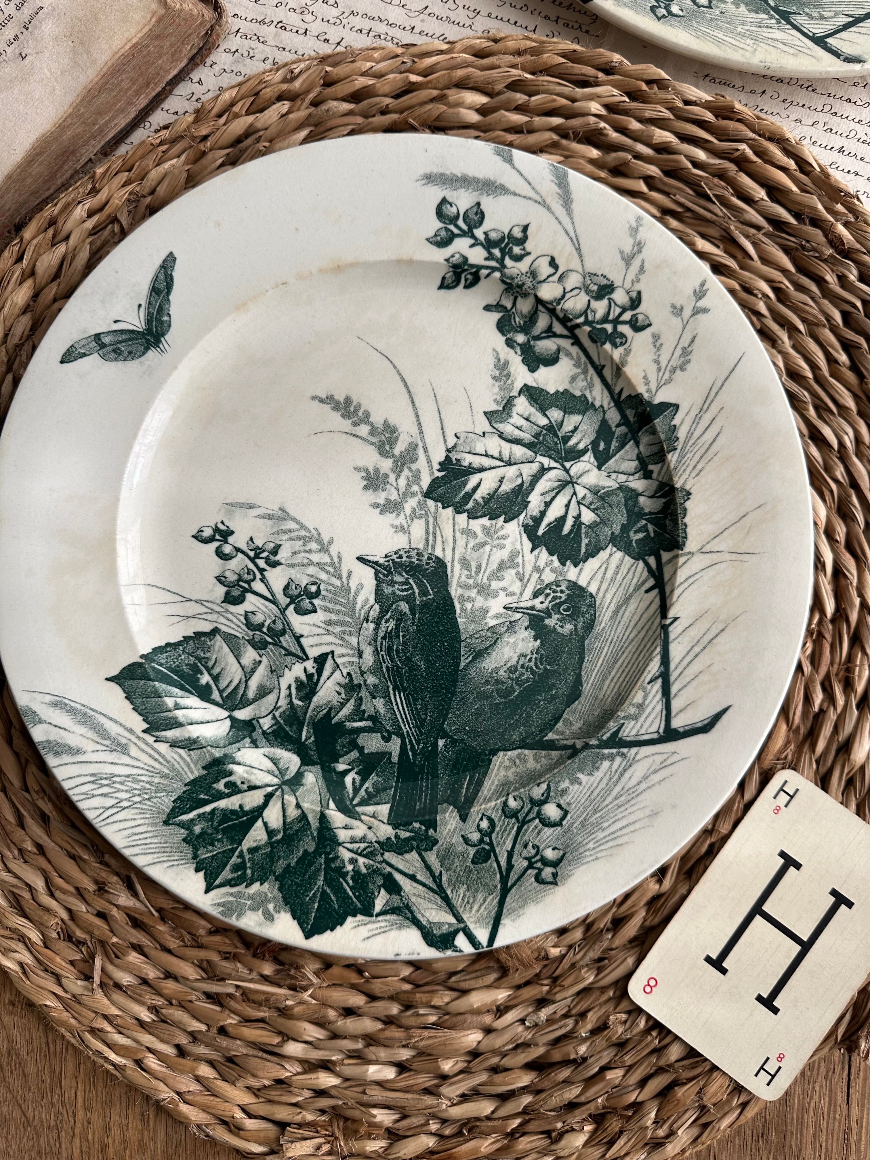 Assiette plate Jules Vieillard Bordeaux modèle Oiseaux