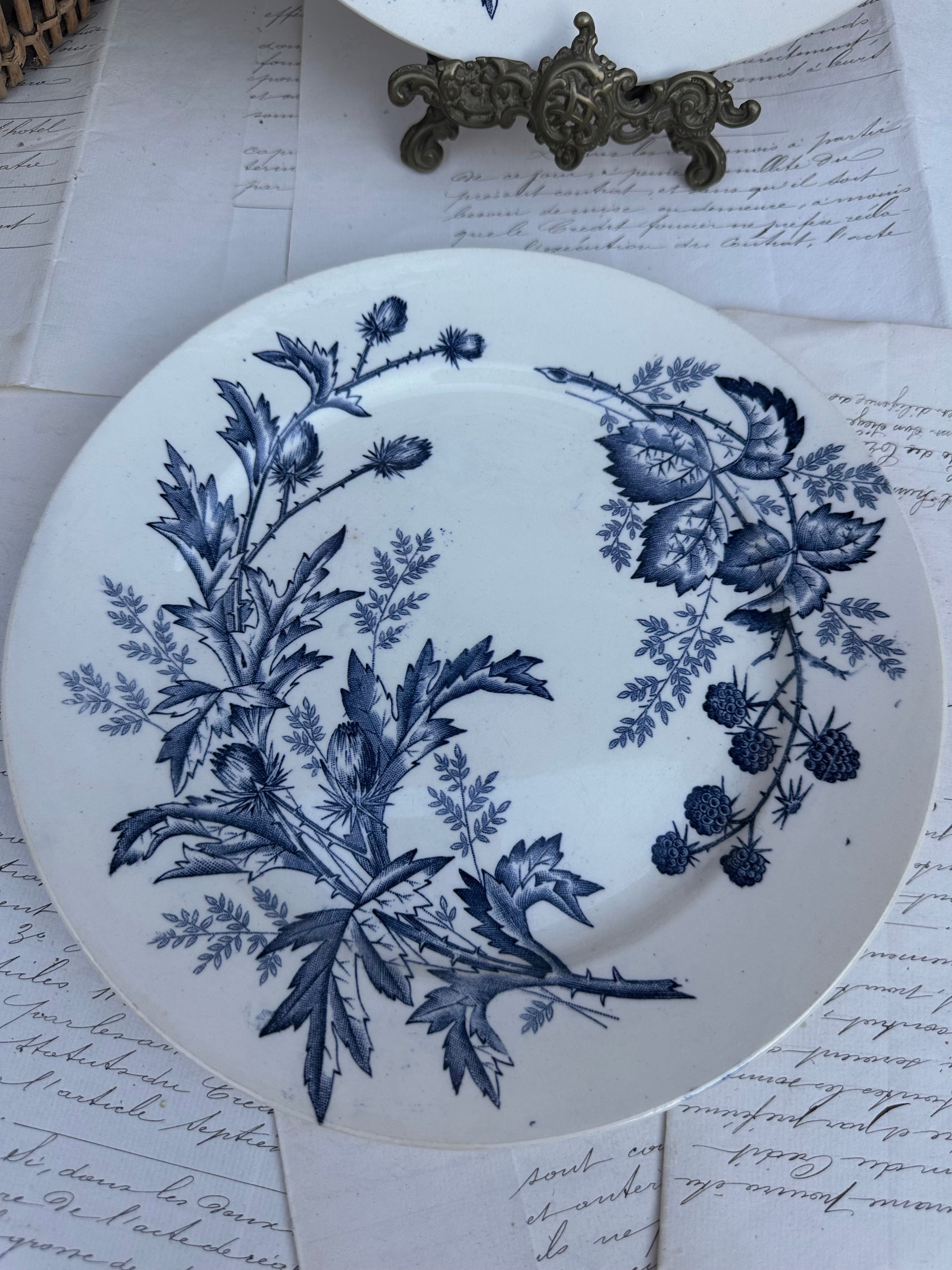 Duo d'assiettes BFK modèle Flora