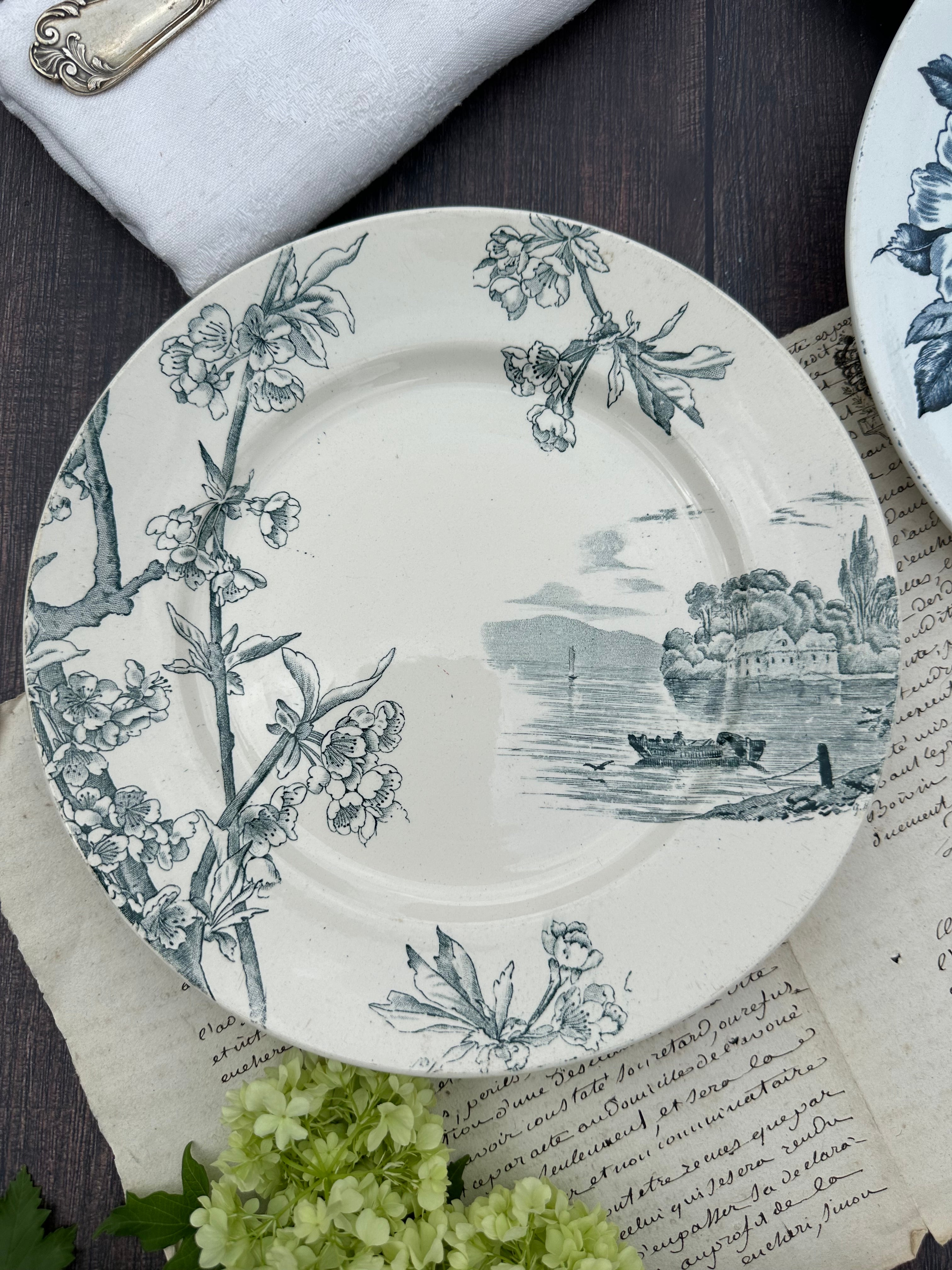 Set of 8 mismatched ironstone dinner plates