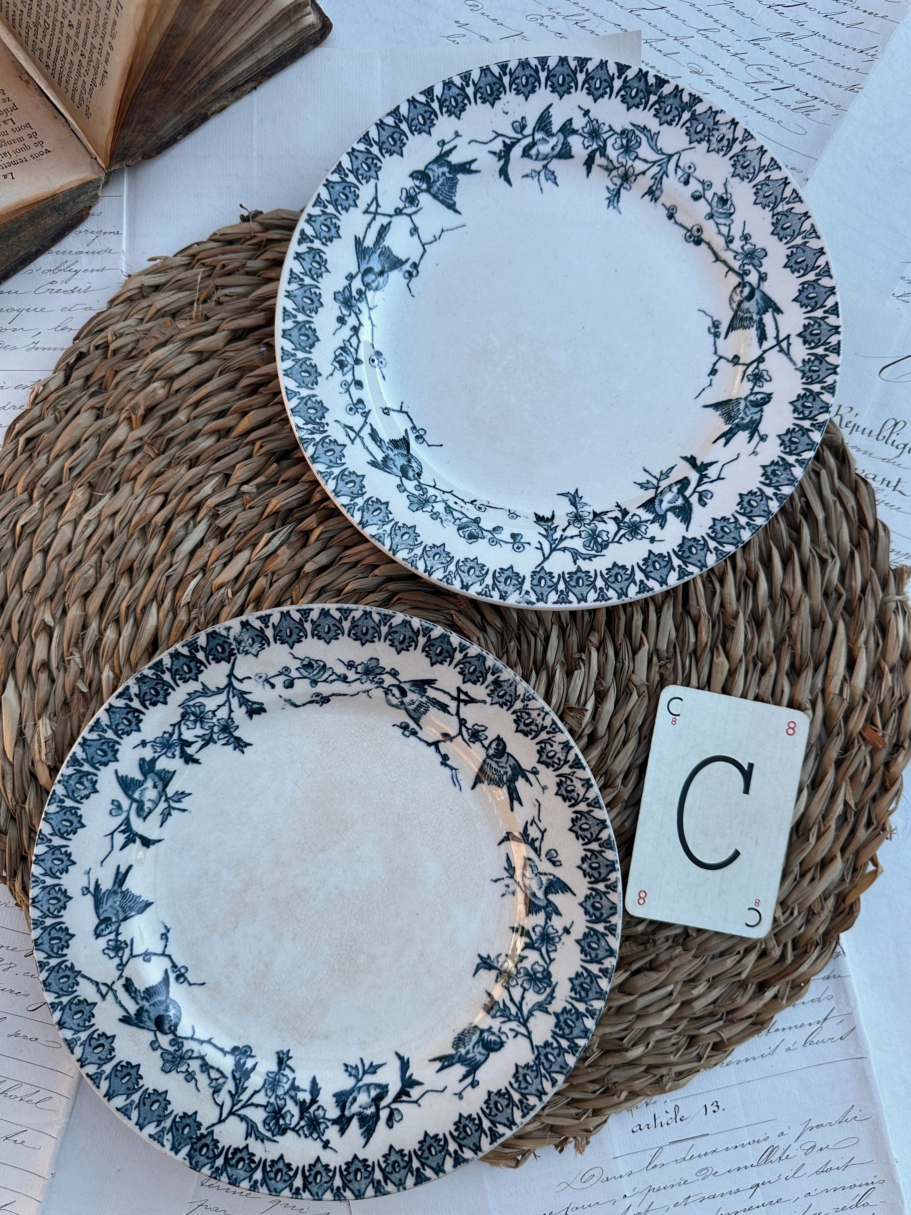 C. Duo d'assiettes à dessert Choisy le Roi modèle Lyonnais