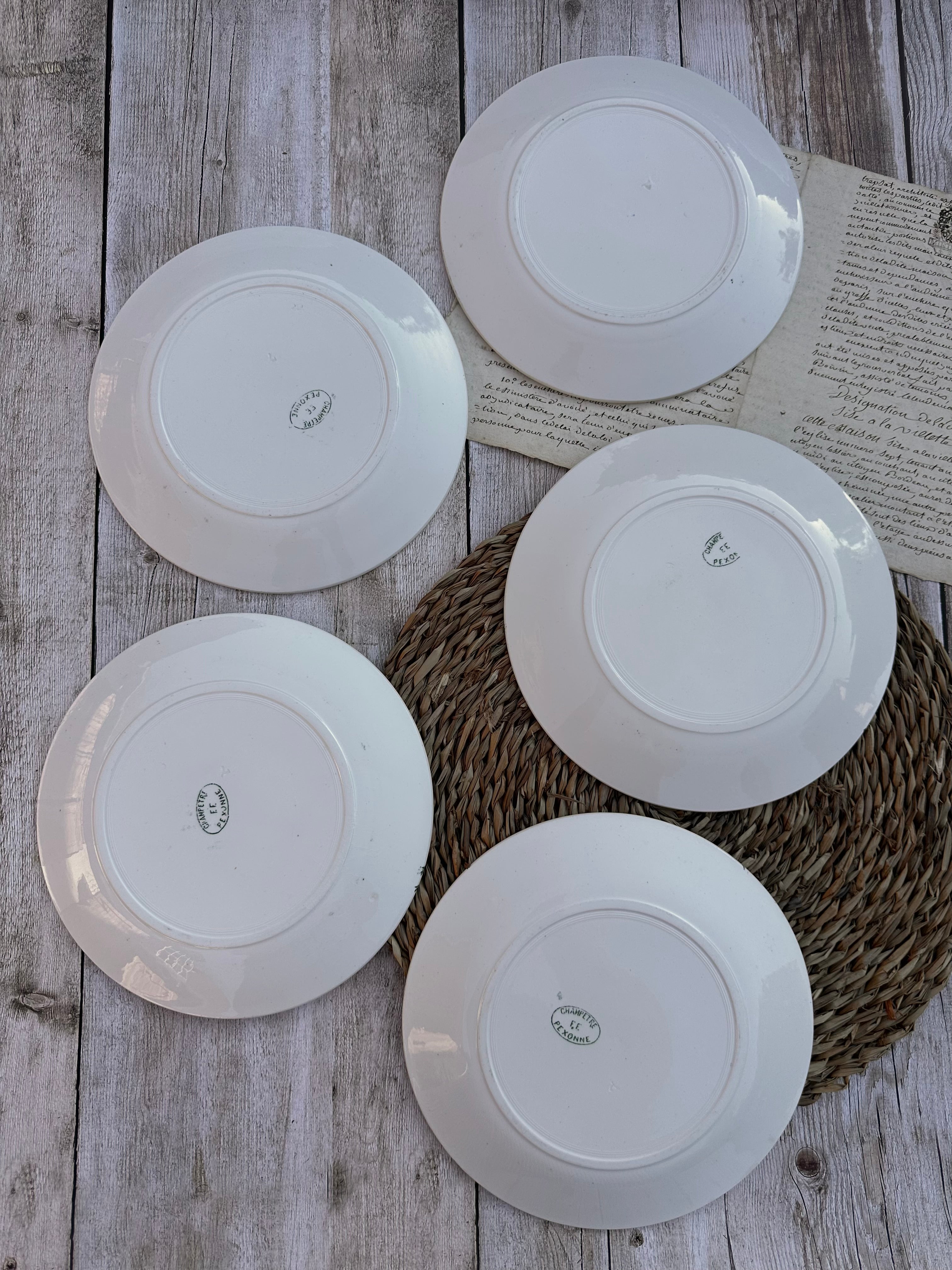 Suite de 5 assiettes plates Pexonne modèle Champêtre