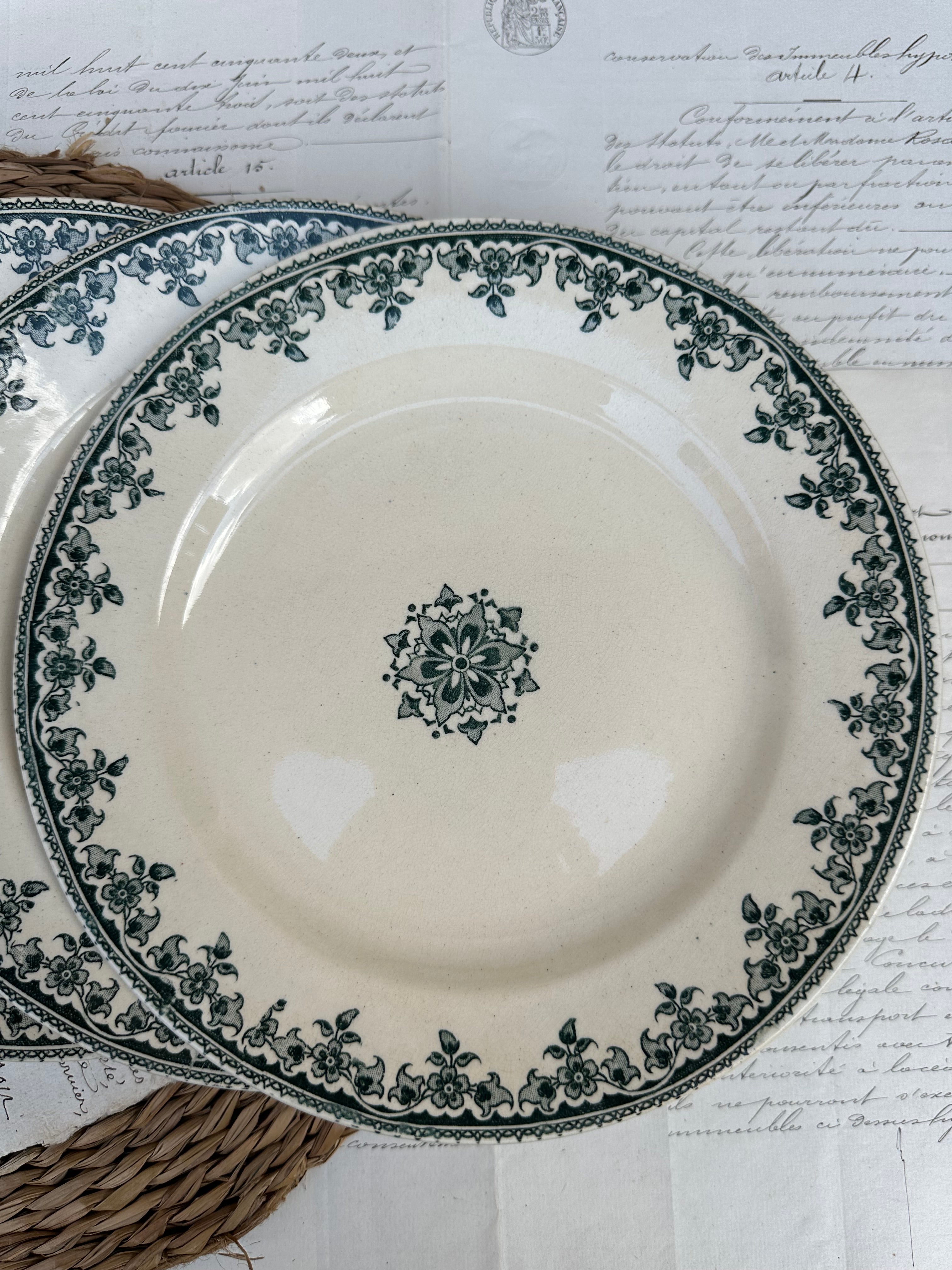 Suite de 5 assiettes plates Choisy le Roi modèle Gagny