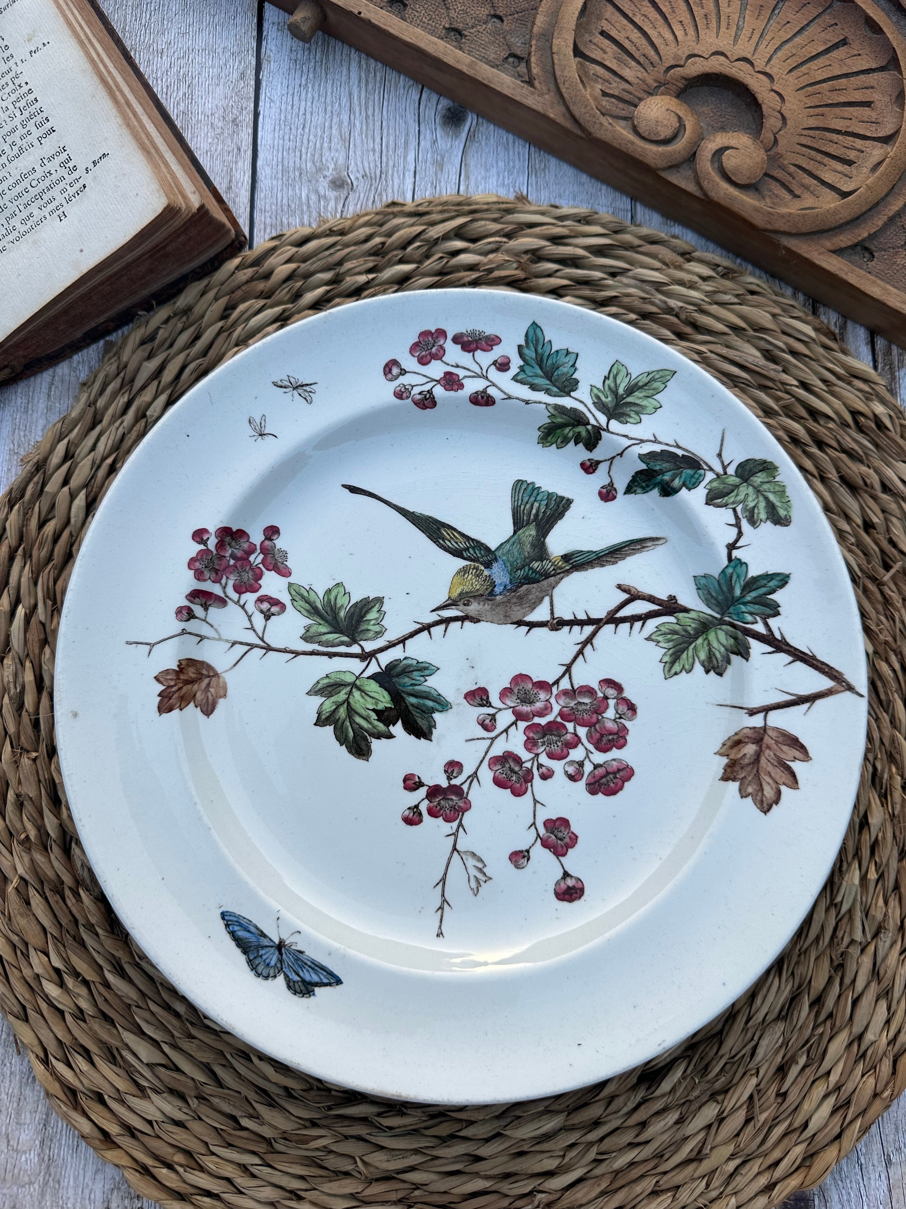 Assiette polychrome John Mortlock - Golden Crested Wren