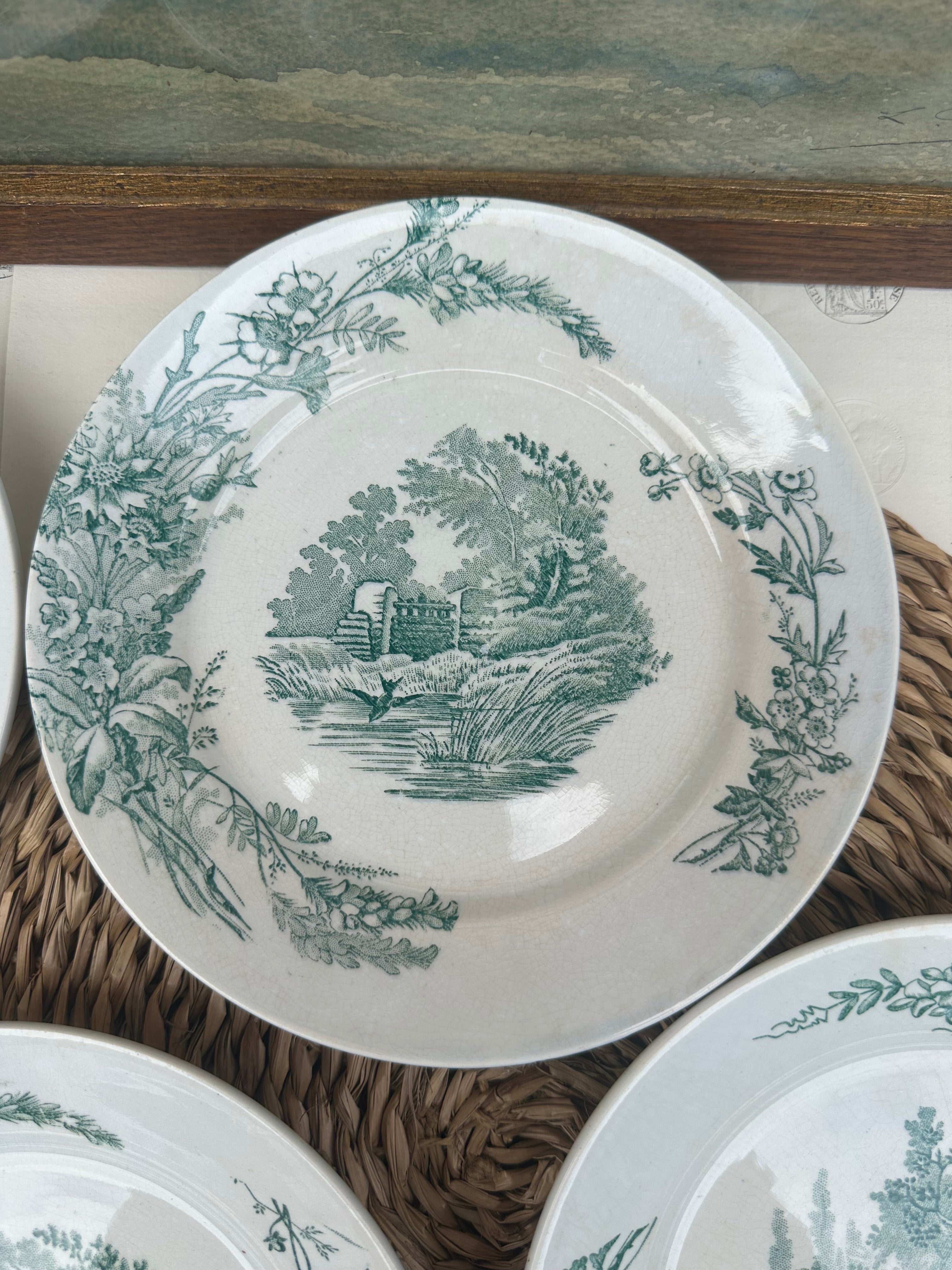 Suite de 4 assiettes à dessert Pexonne modèle Champêtre