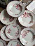 12 assiettes Sarreguemines Favori (6 creuses et 6 à dessert)