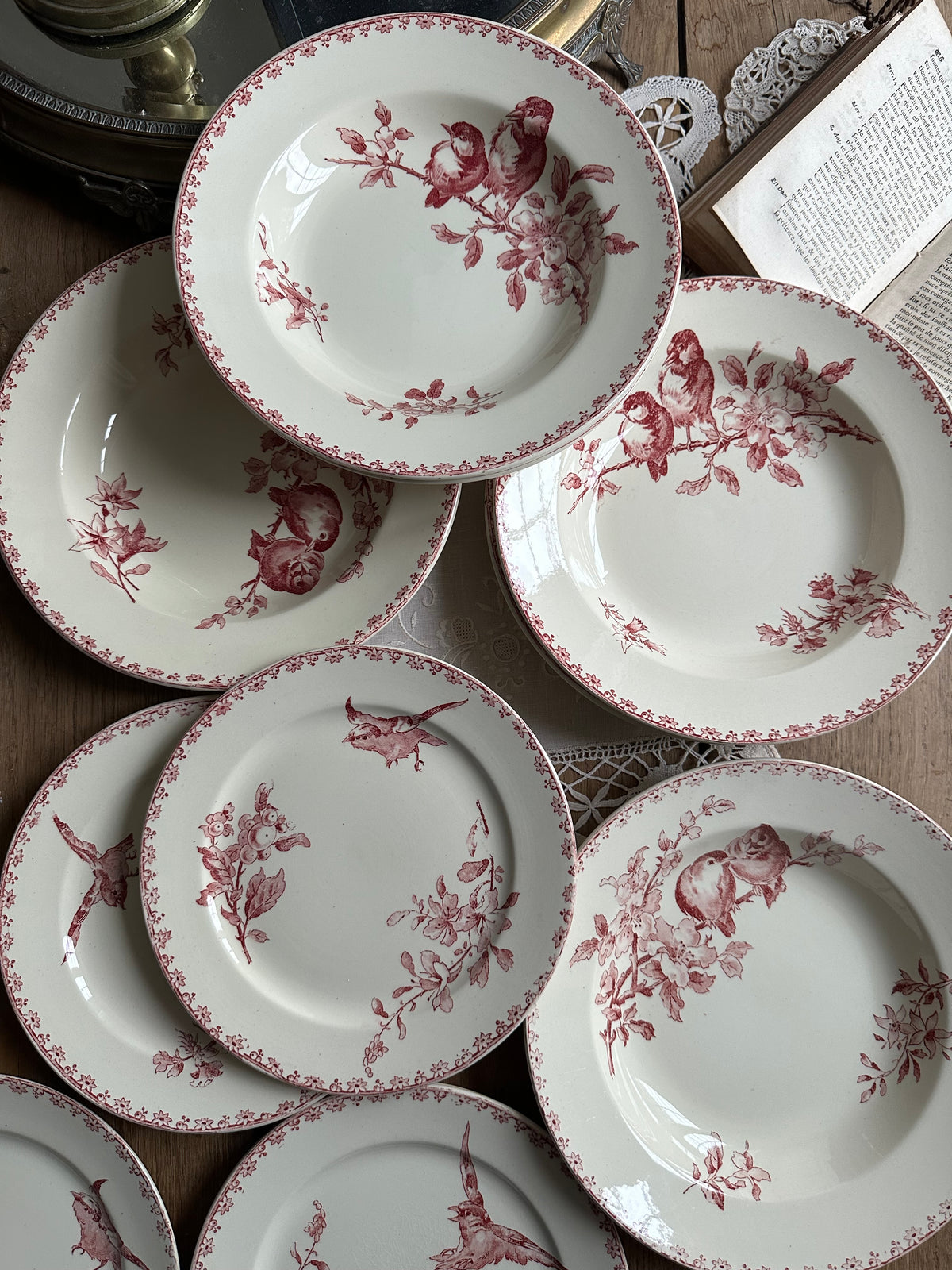 12 assiettes Sarreguemines Favori (6 creuses et 6 à dessert)
