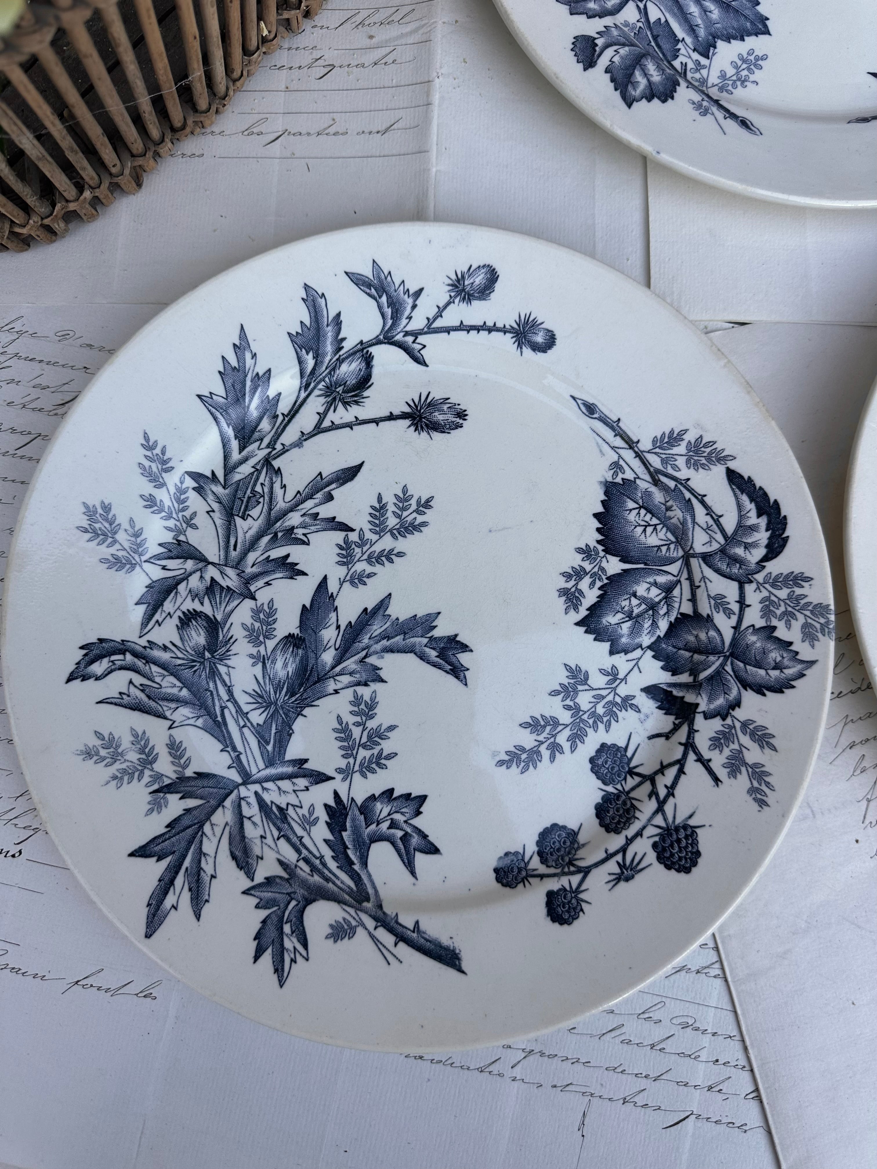 II. Trio d'assiettes BFK modèle Flora