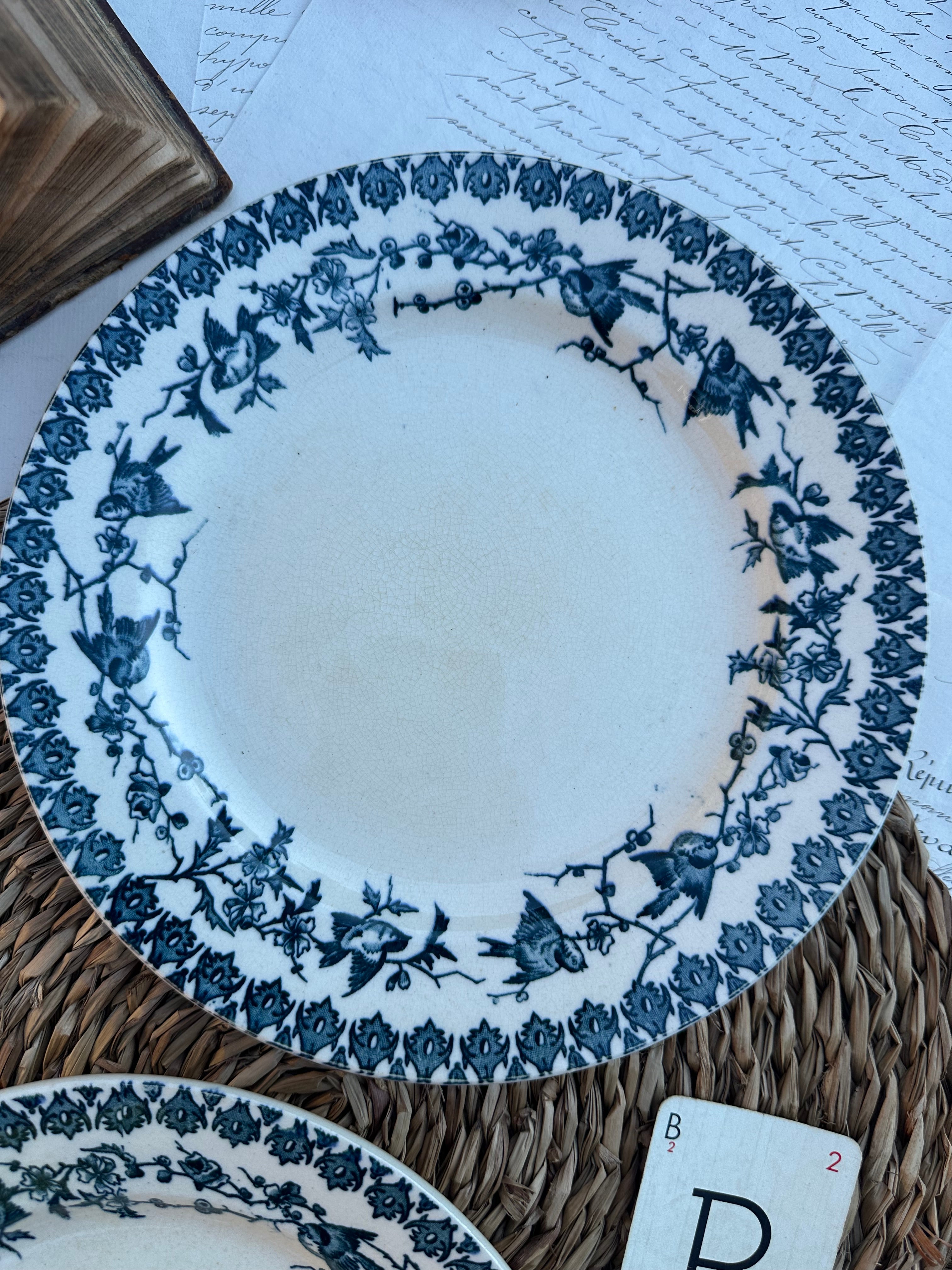 B. Duo d'assiettes plates Choisy le Roi modèle Lyonnais