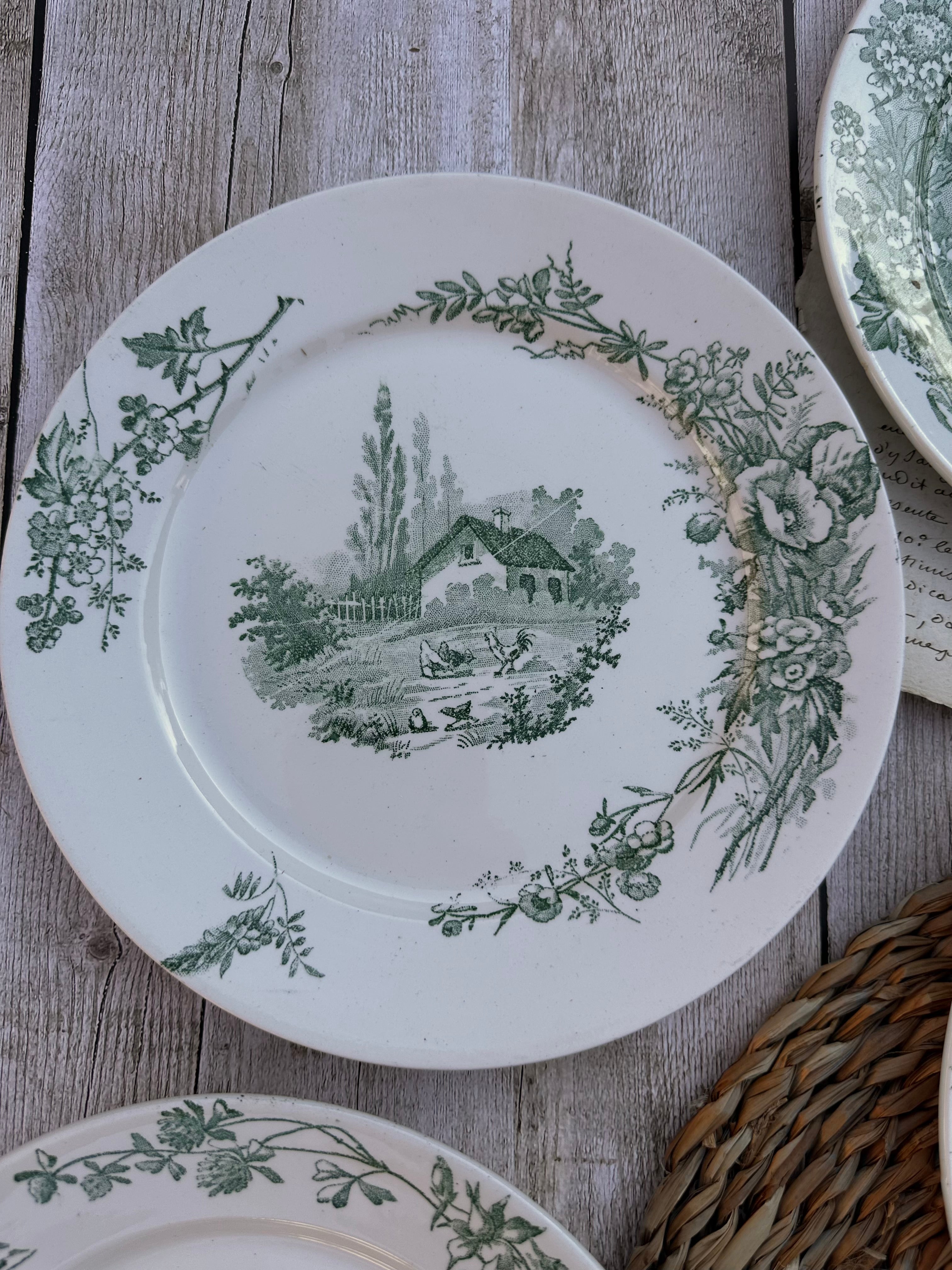 Suite de 5 assiettes plates Pexonne modèle Champêtre