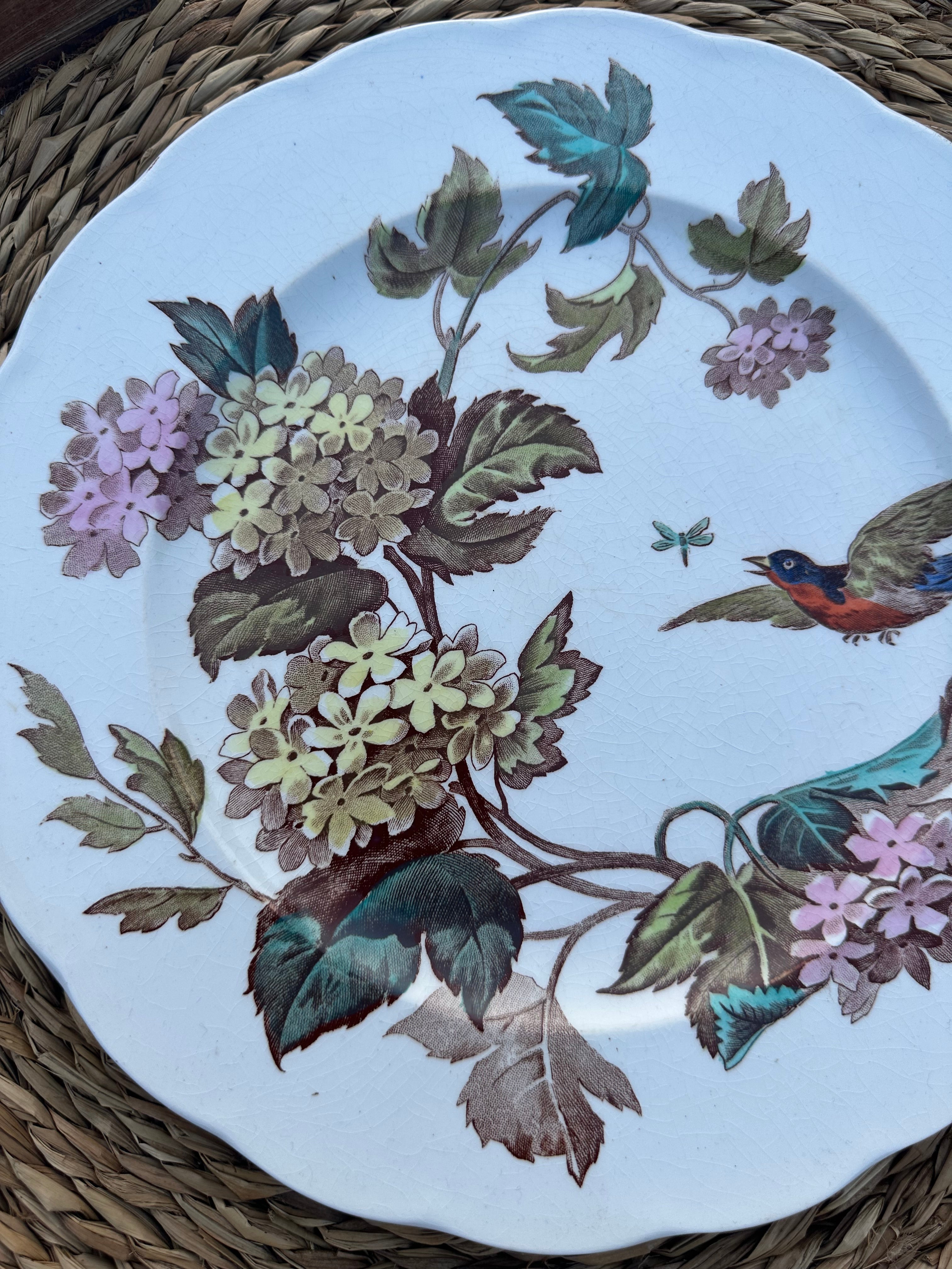 I. Assiette polychrome Heathcote Bone modèle Kensington