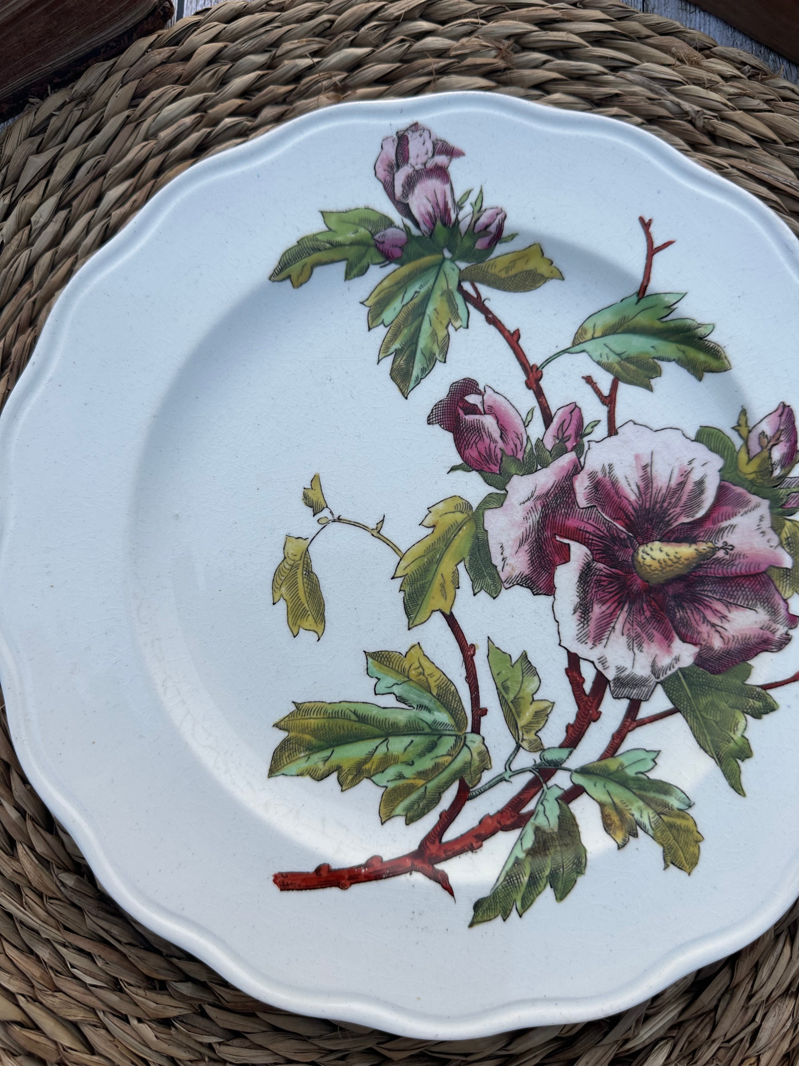 Assiette polychrome BWM & Co (Brown Westhead Moore) - Septembre 1868
